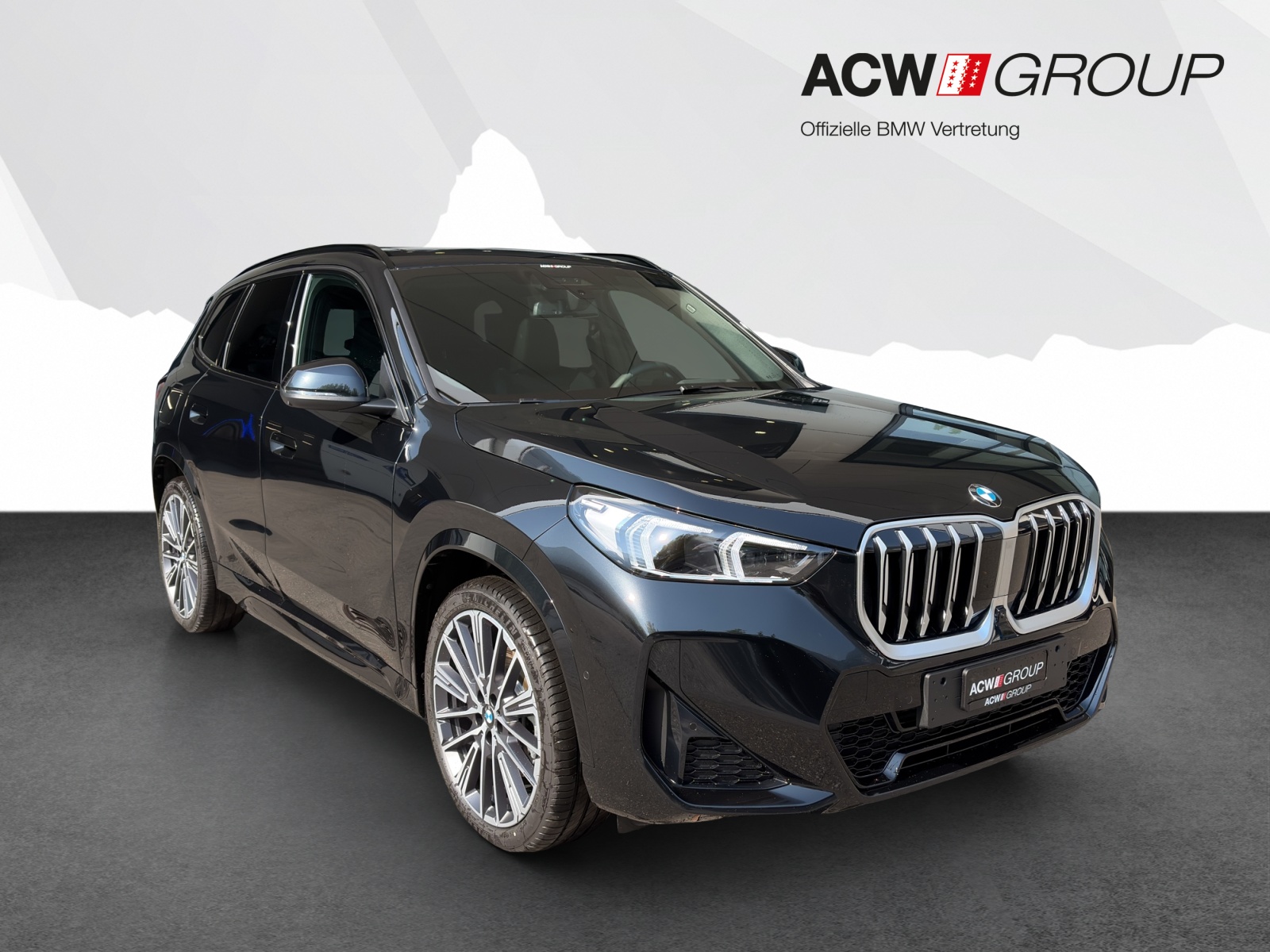 BMW X1 23i xDrive-image-6