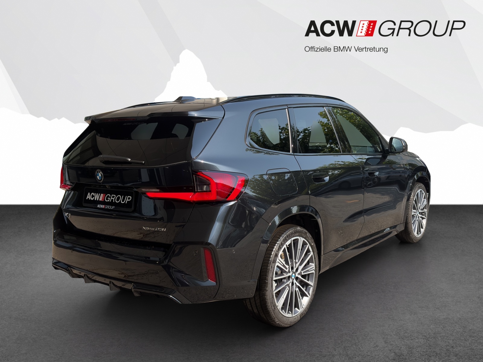 BMW X1 23i xDrive-image-4