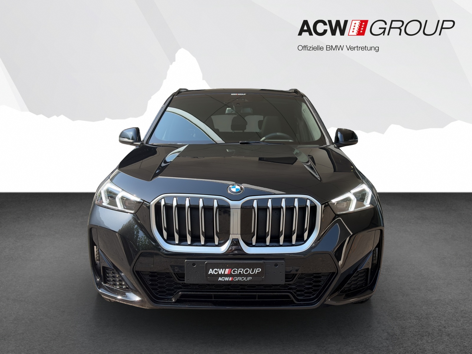 BMW X1 23i xDrive-image-7