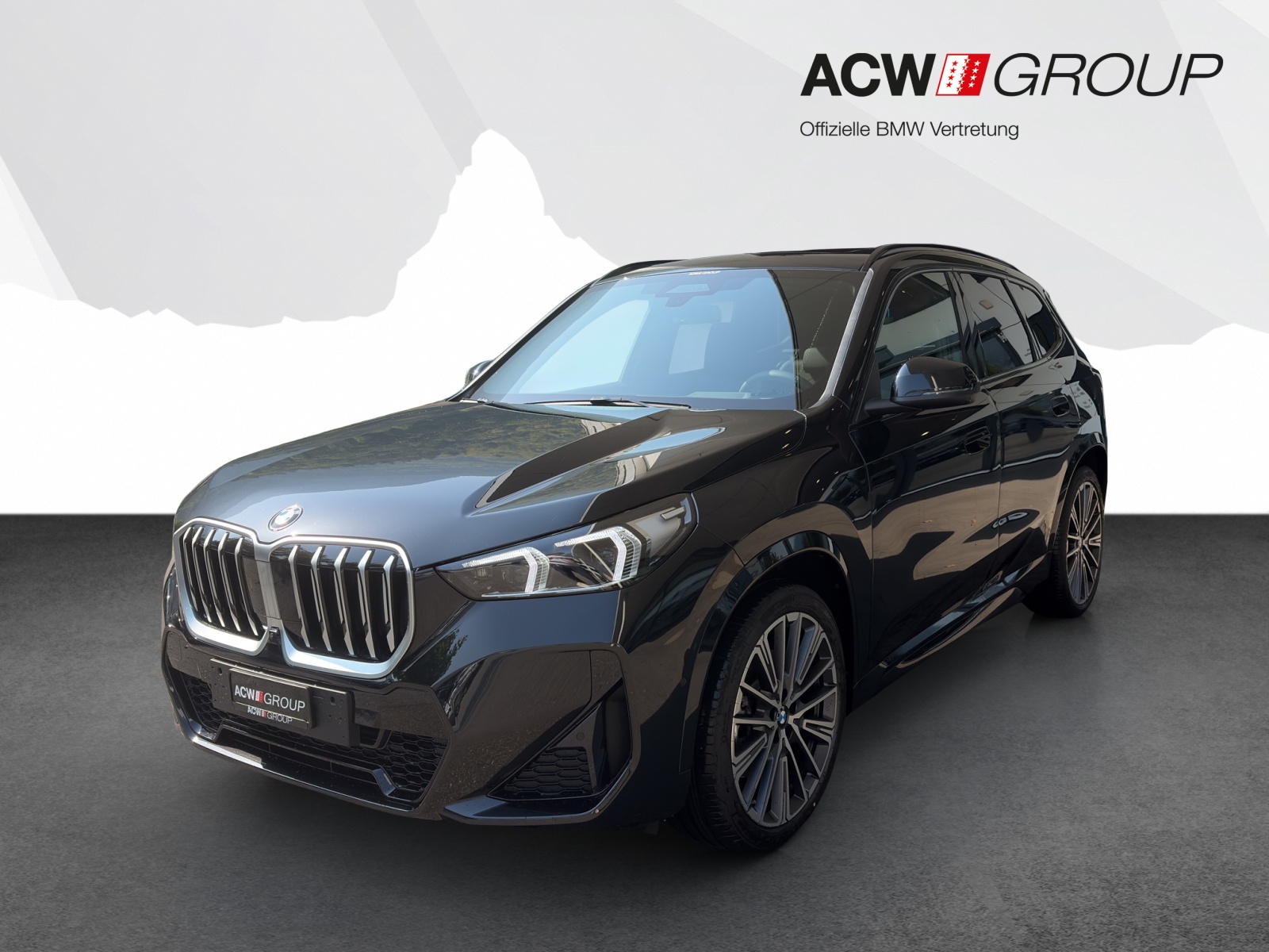 BMW X1 23i xDrive