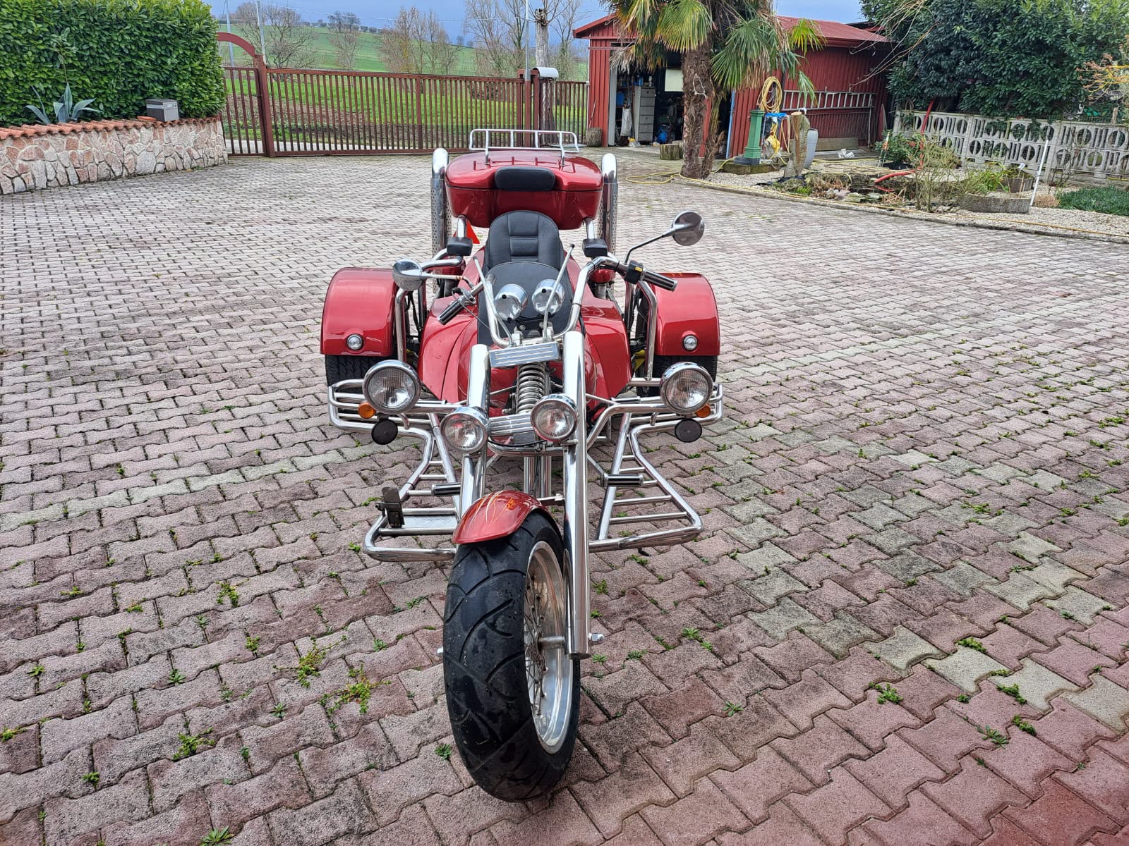 REWACO HS4 “Boxer-Limited”-image-0