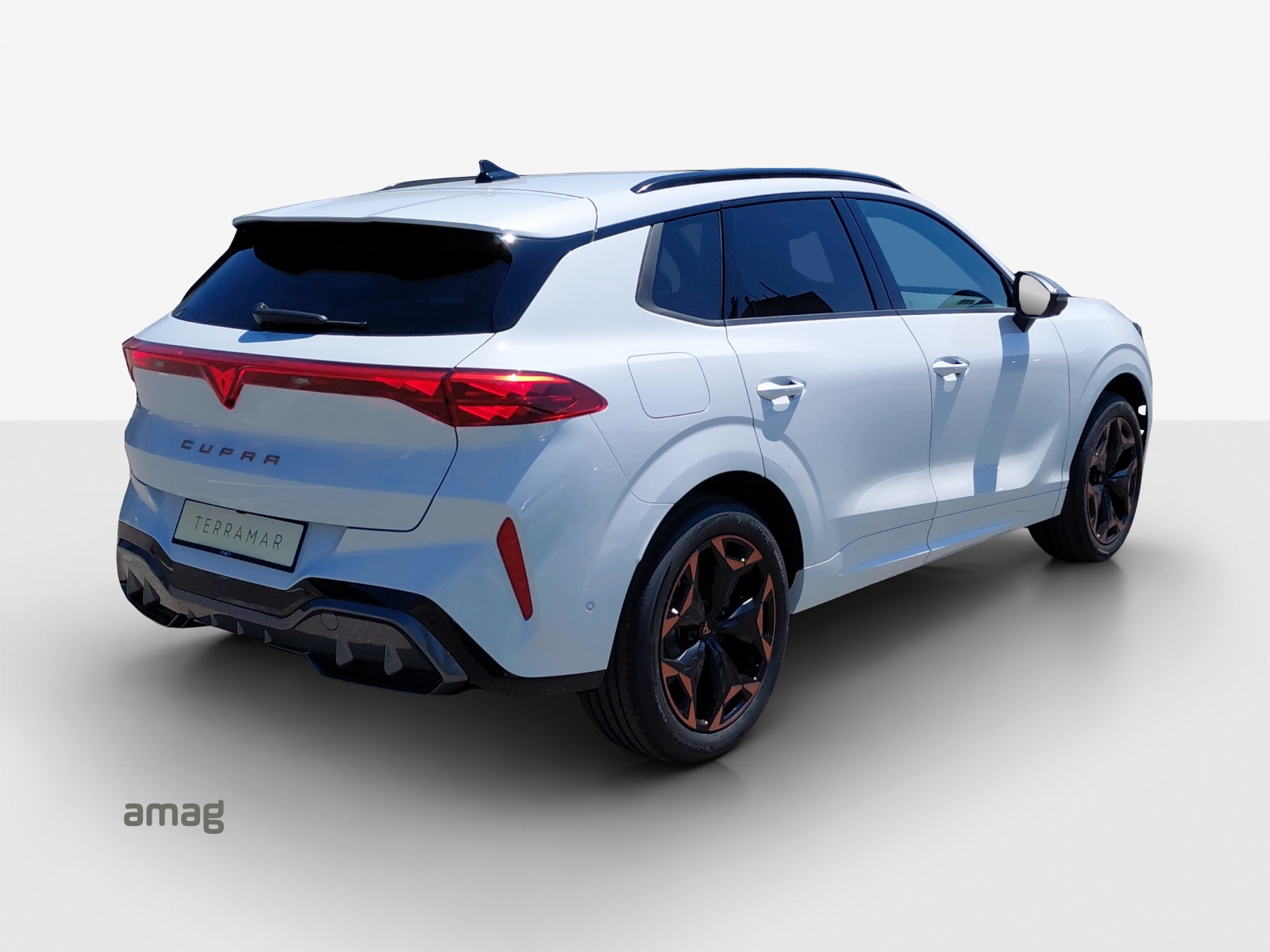 CUPRA Terramar 2.0 TSI Prime Edition DSG 4Drive-image-4