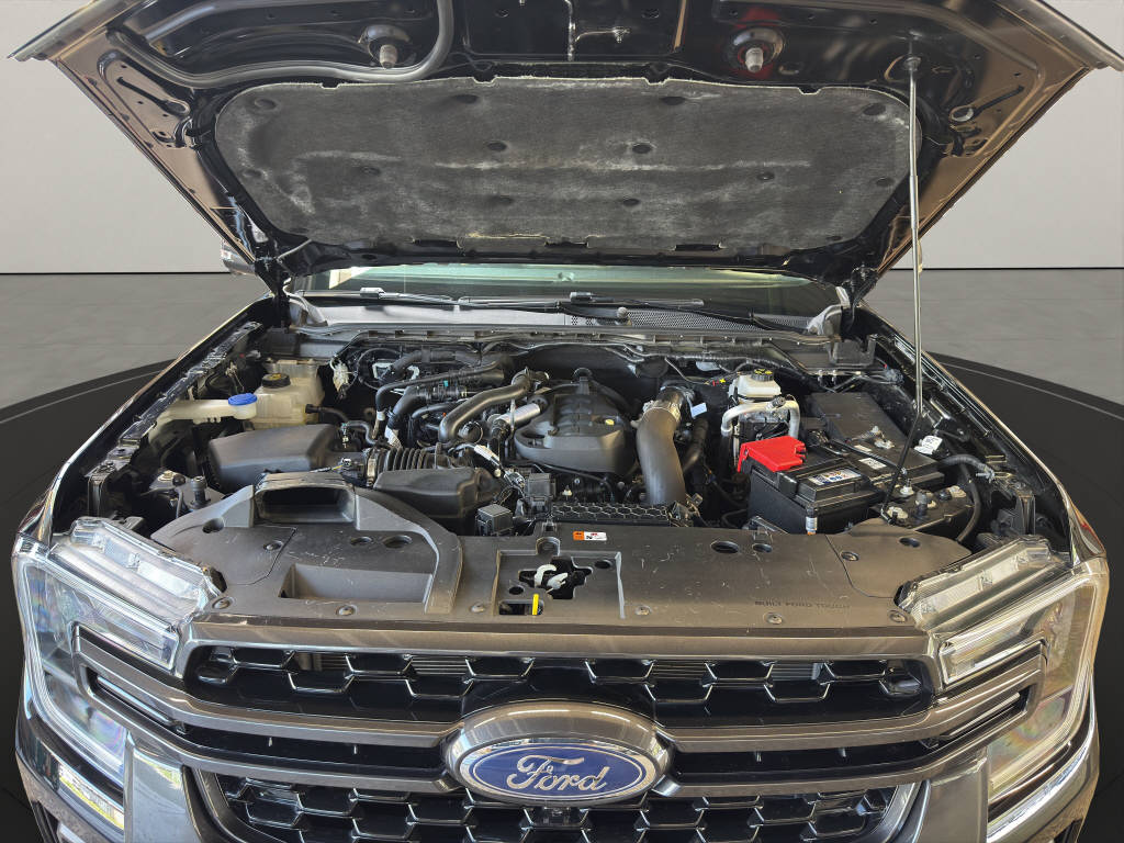 FORD Ranger DKab.Pick-up 2.0 EcoBlue Wildtrak 4x4 205 PS-image-19