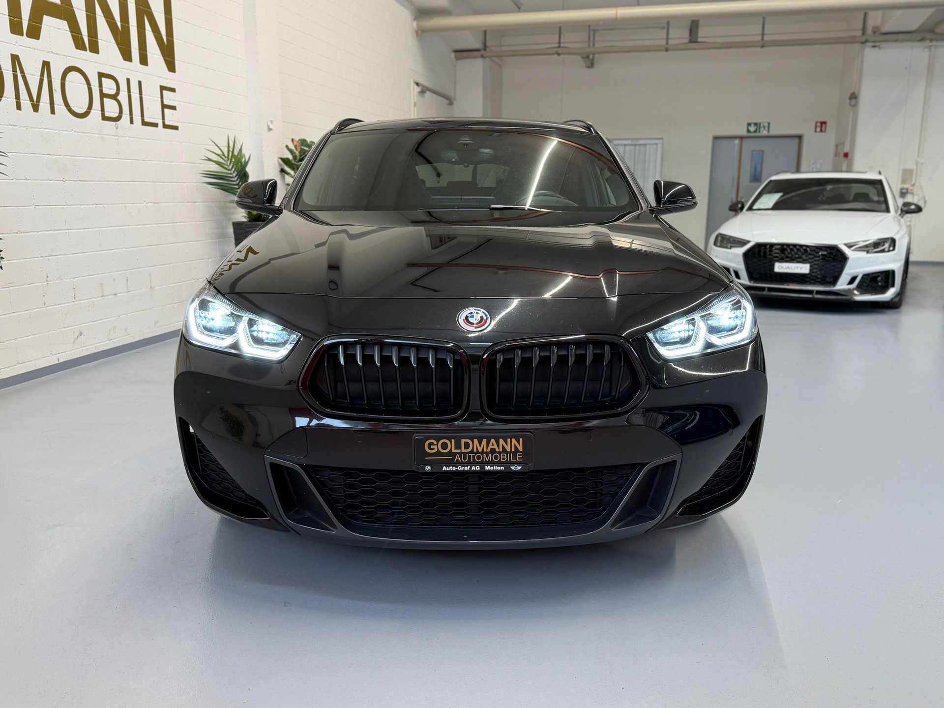 BMW X2 xDrive 20d GoldPlay Steptronic-image-6