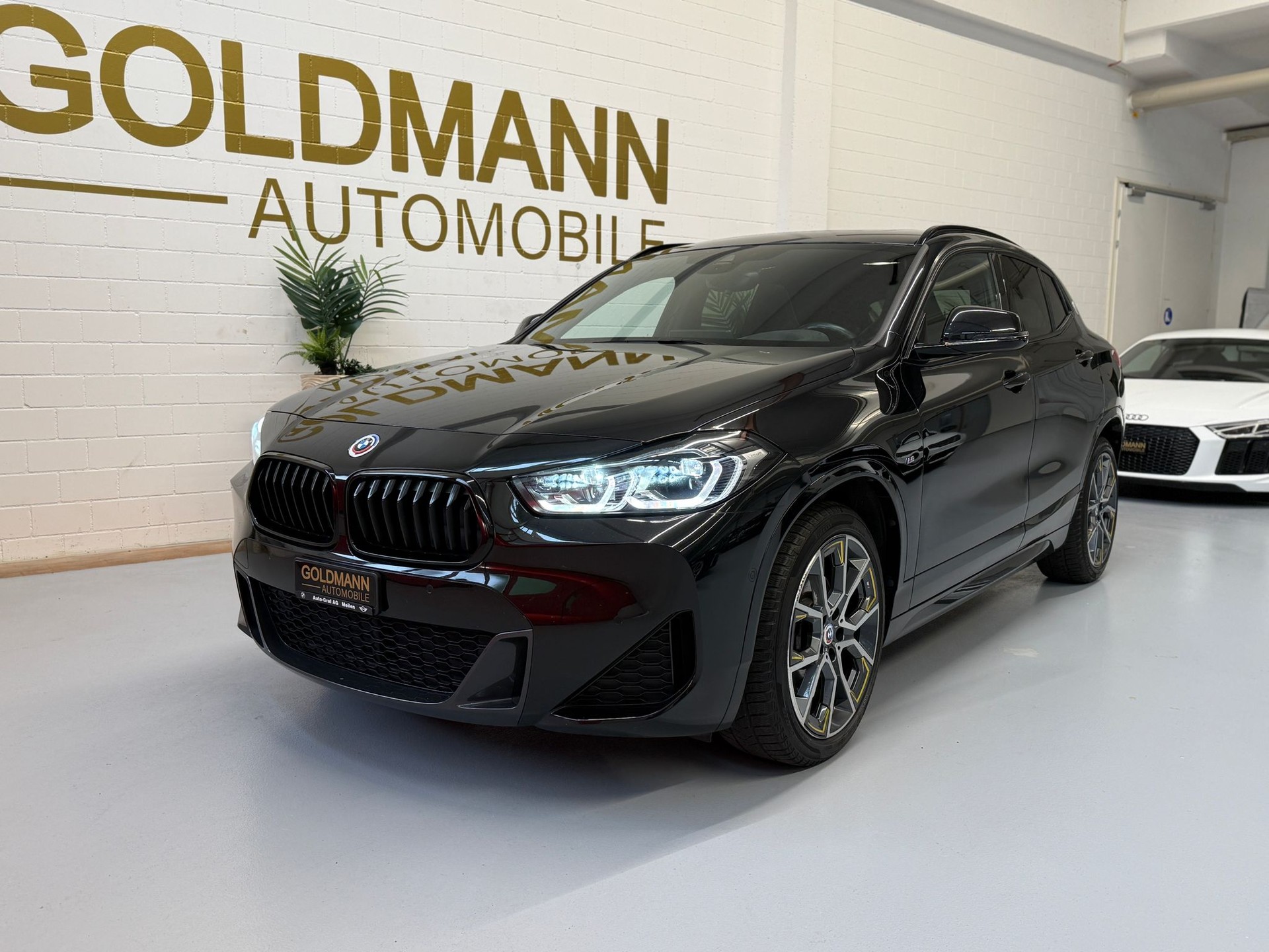 BMW X2 xDrive 20d GoldPlay Steptronic-image-5