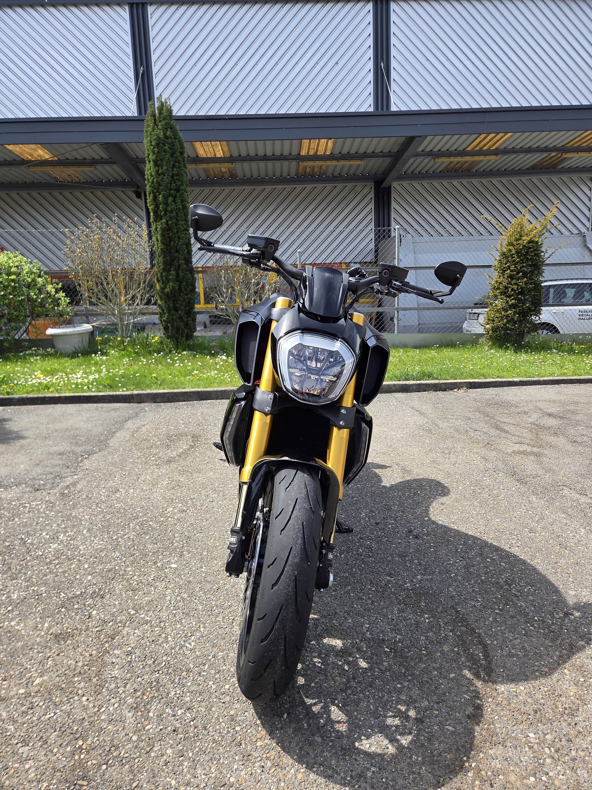 DUCATI Diavel 1260 S-image-9