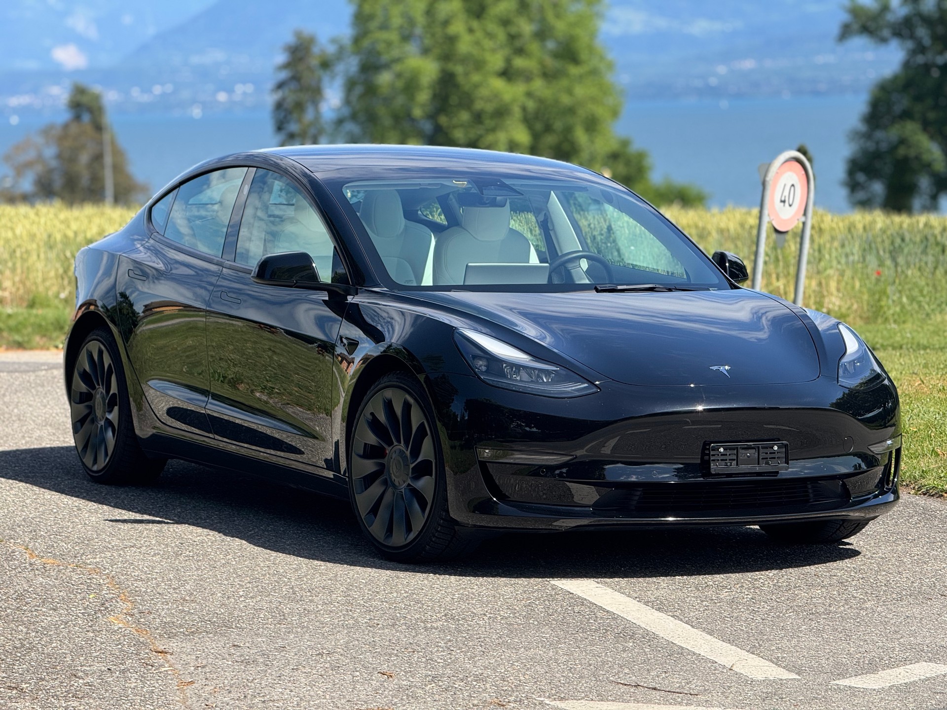 TESLA Model 3 Performance Dual Motor AWD