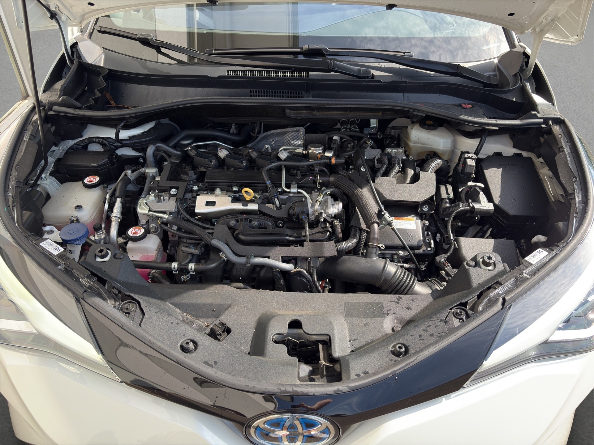 TOYOTA C-HR 2.0 HSD CVT Style-image-19