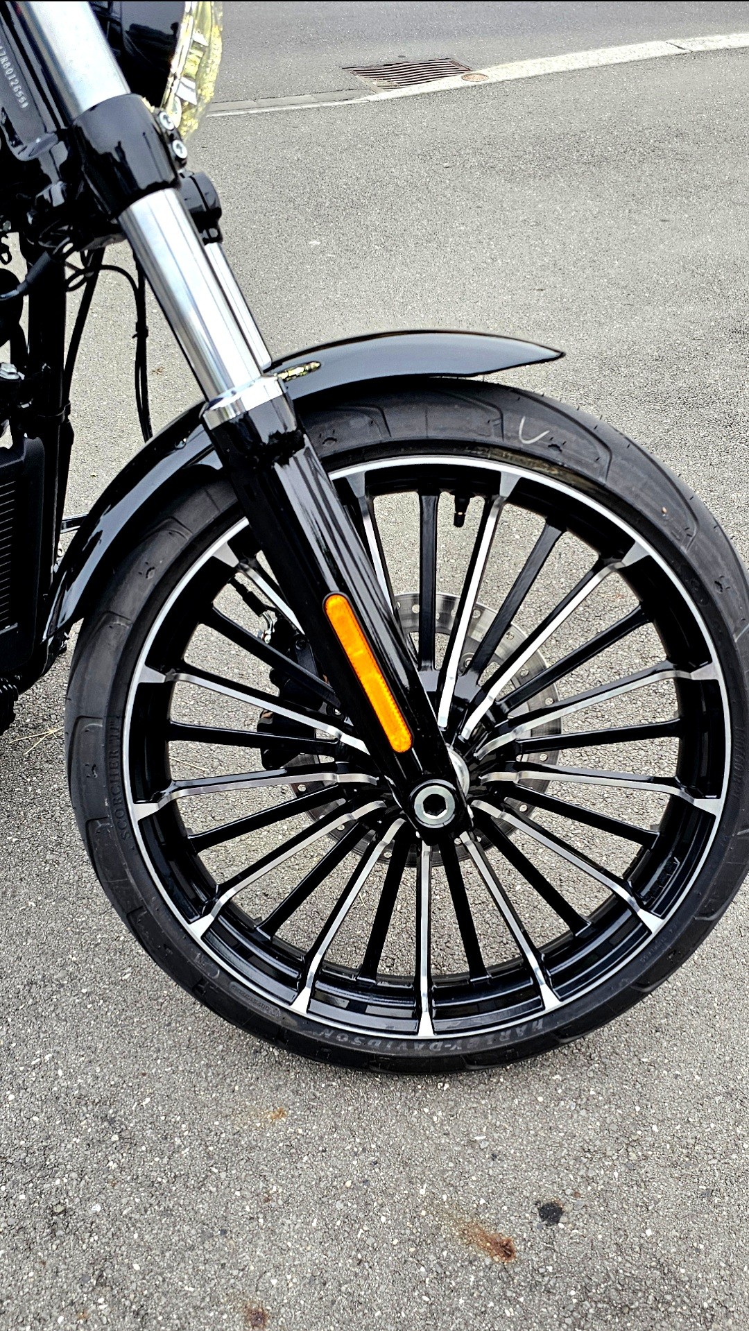 HARLEY-DAVIDSON FXBR Breakout 117-image-3