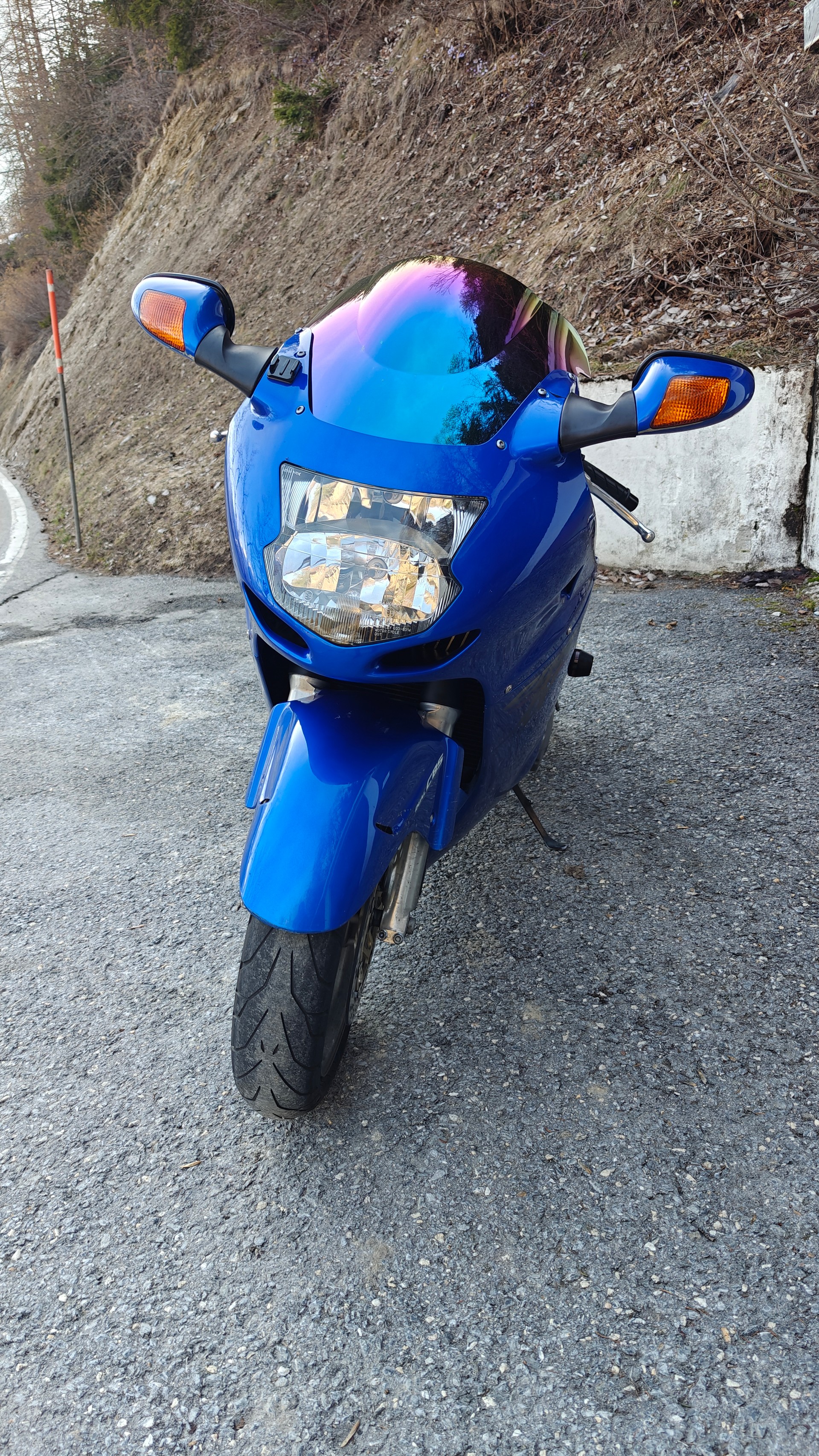 HONDA CBR 1100 X X FI-image-6