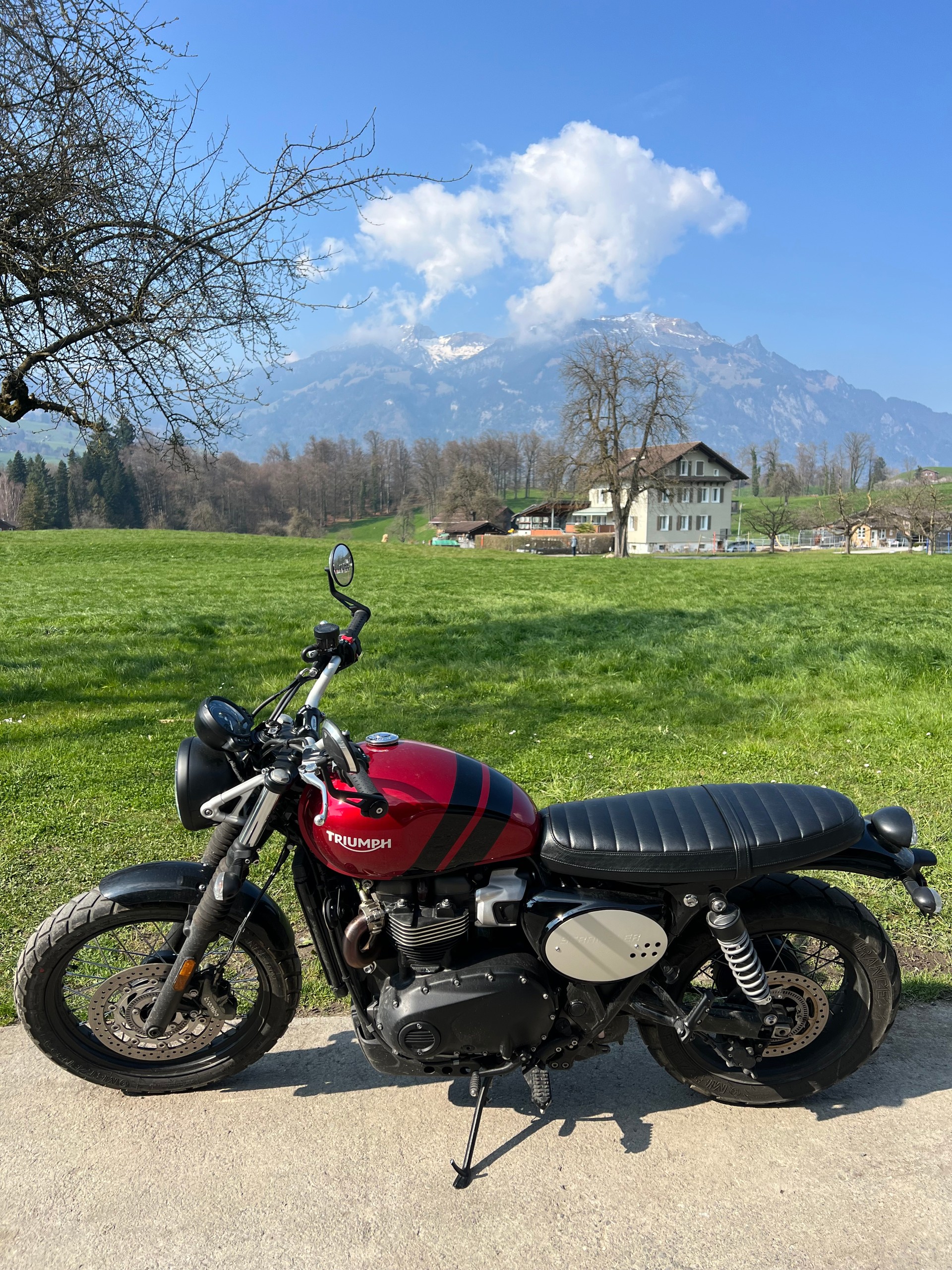 TRIUMPH Scrambler 900 (35kW)-image-2