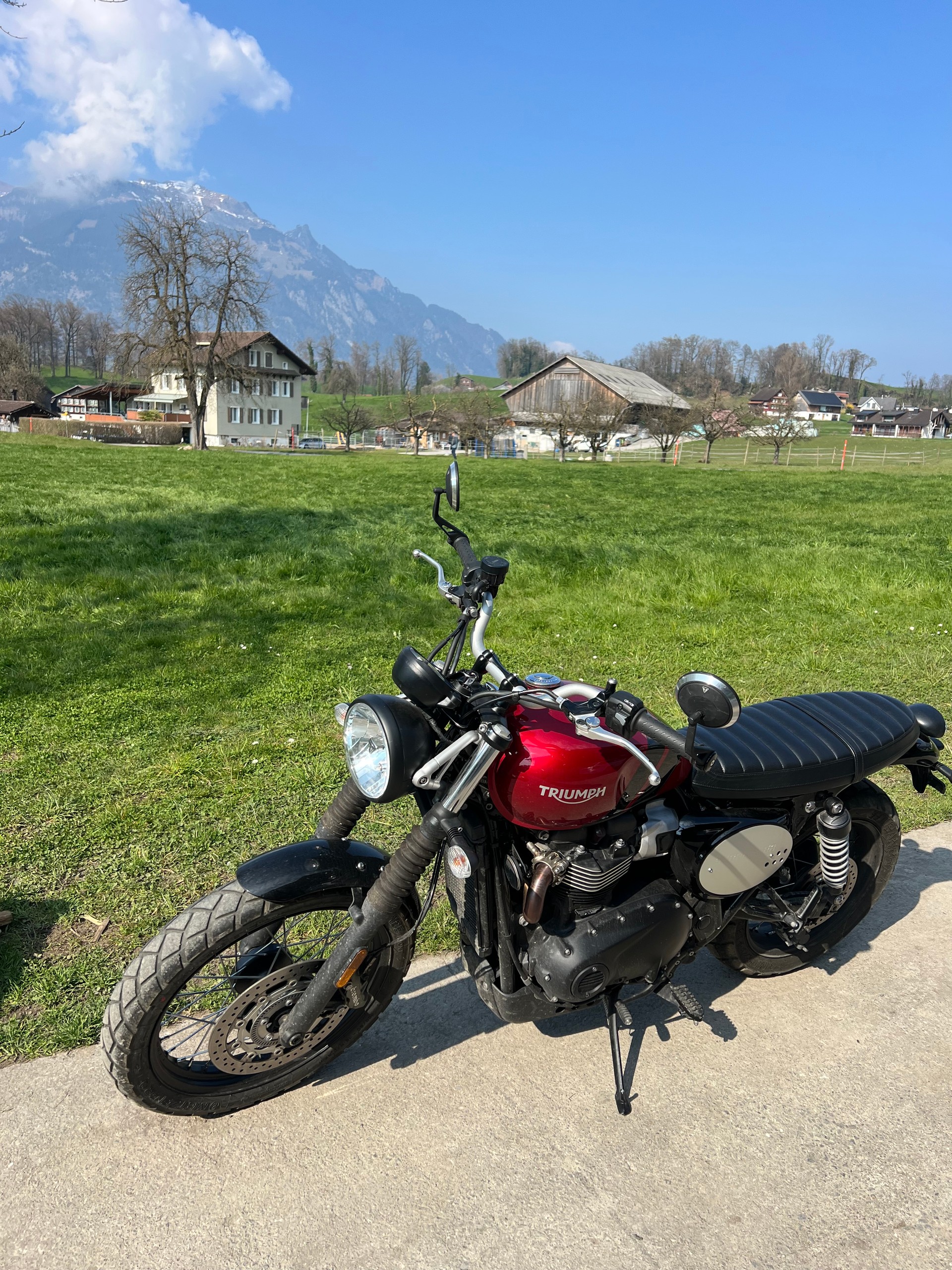TRIUMPH Scrambler 900 (35kW)-image-4