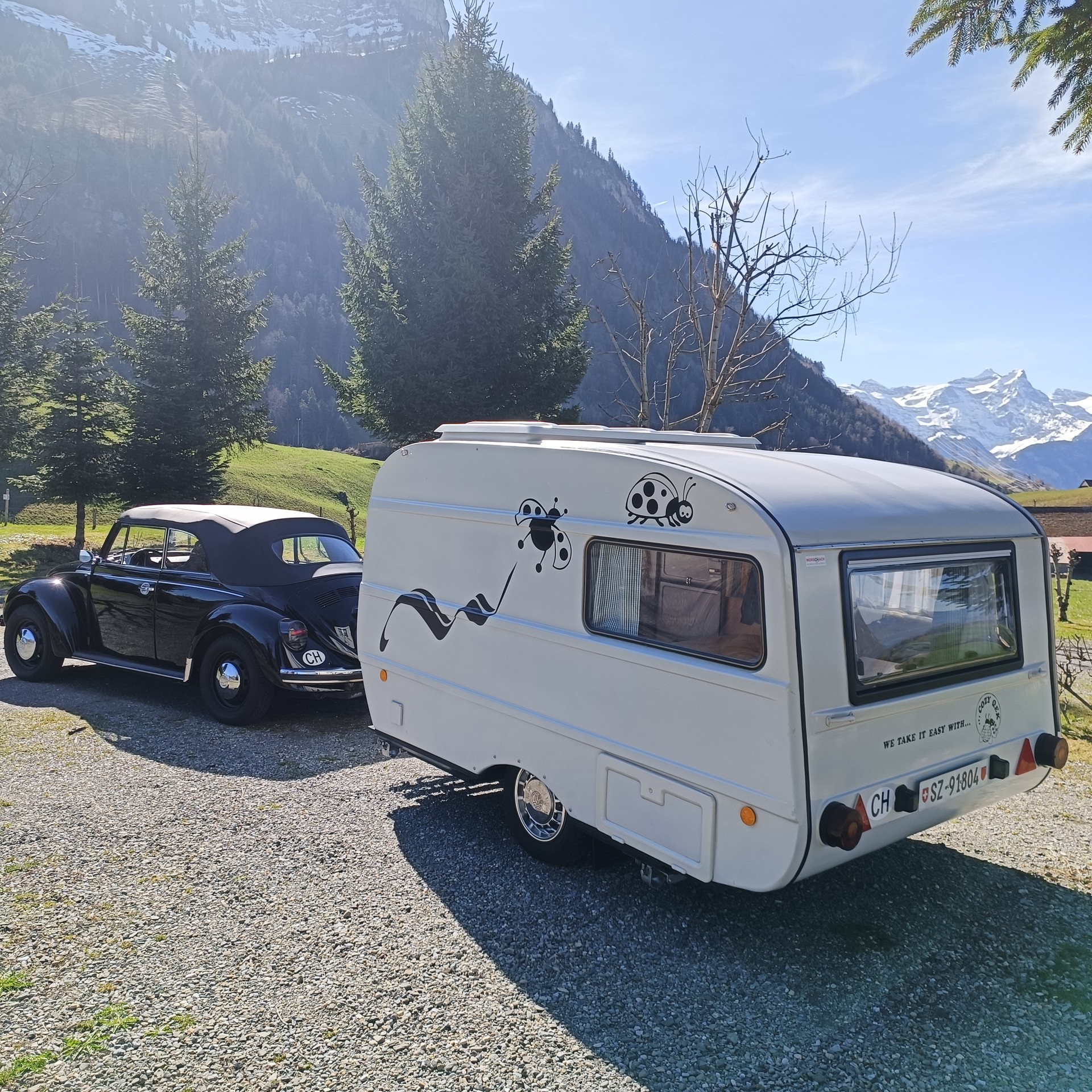 VW Käfer-image-3