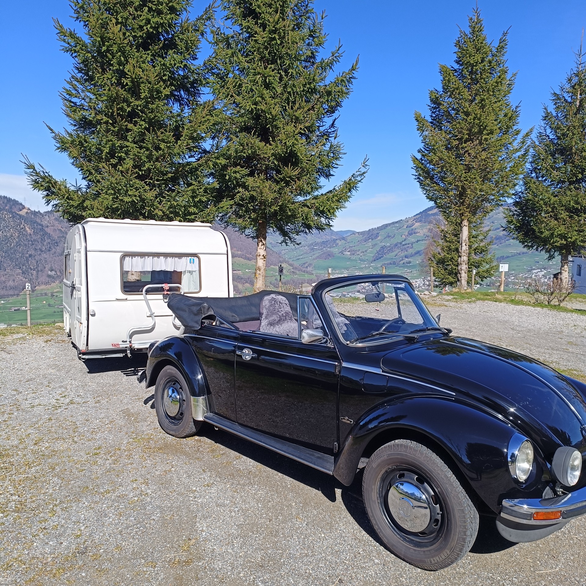 VW Käfer-image-1