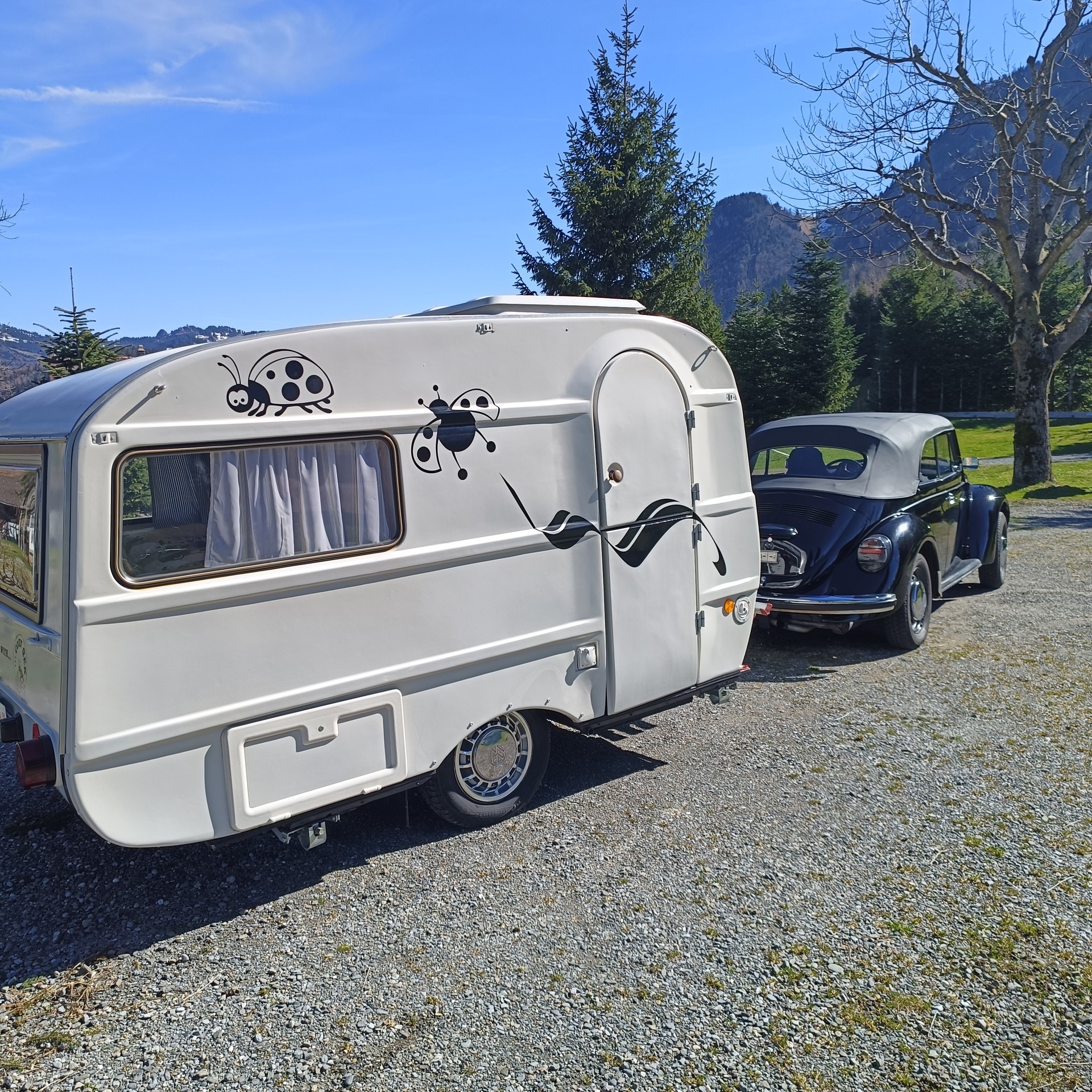 VW Käfer-image-5