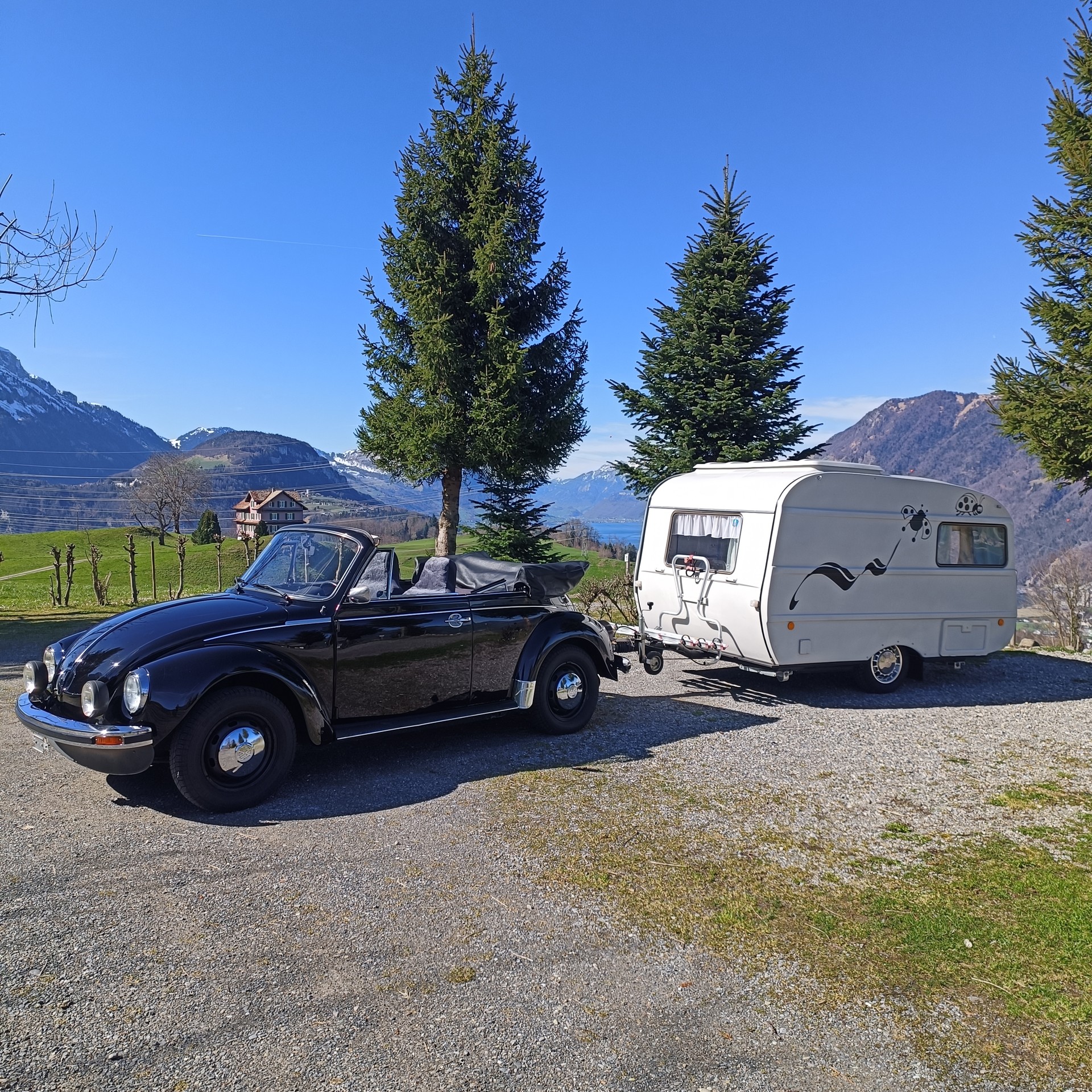 VW Käfer