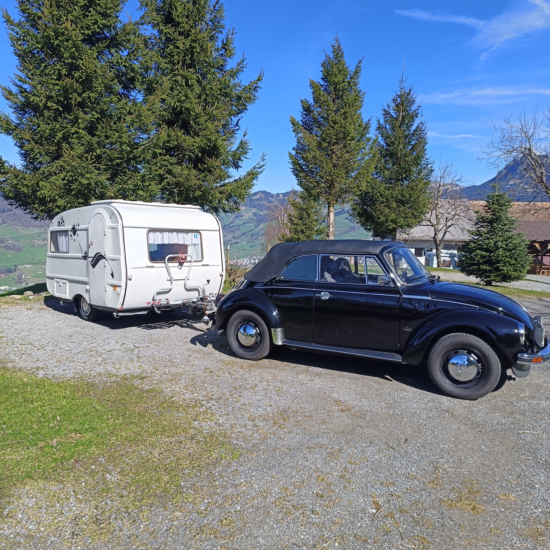 VW Käfer-image-2