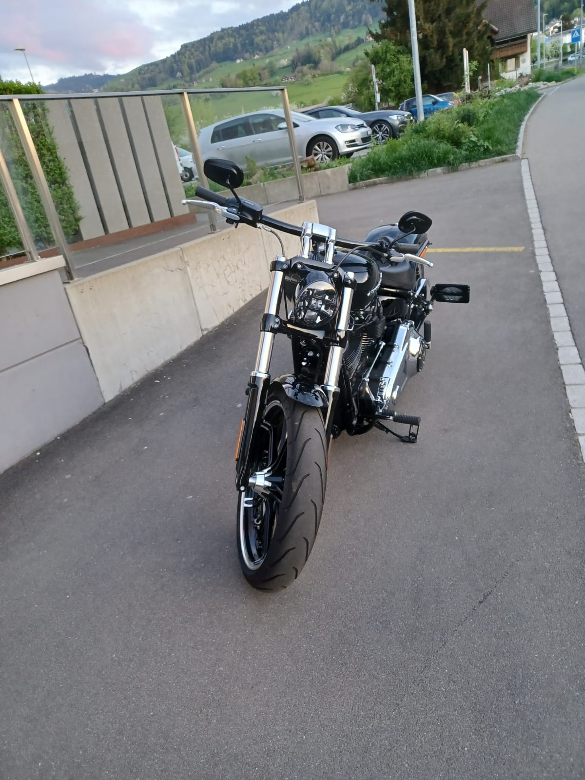 HARLEY-DAVIDSON FXBRS Breakout 114-image-2