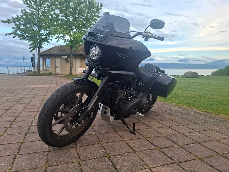 HARLEY-DAVIDSON Softail-image-0