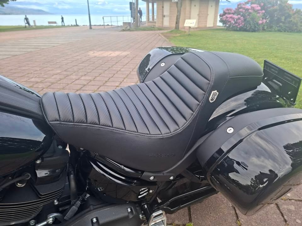 HARLEY-DAVIDSON Softail-image-6