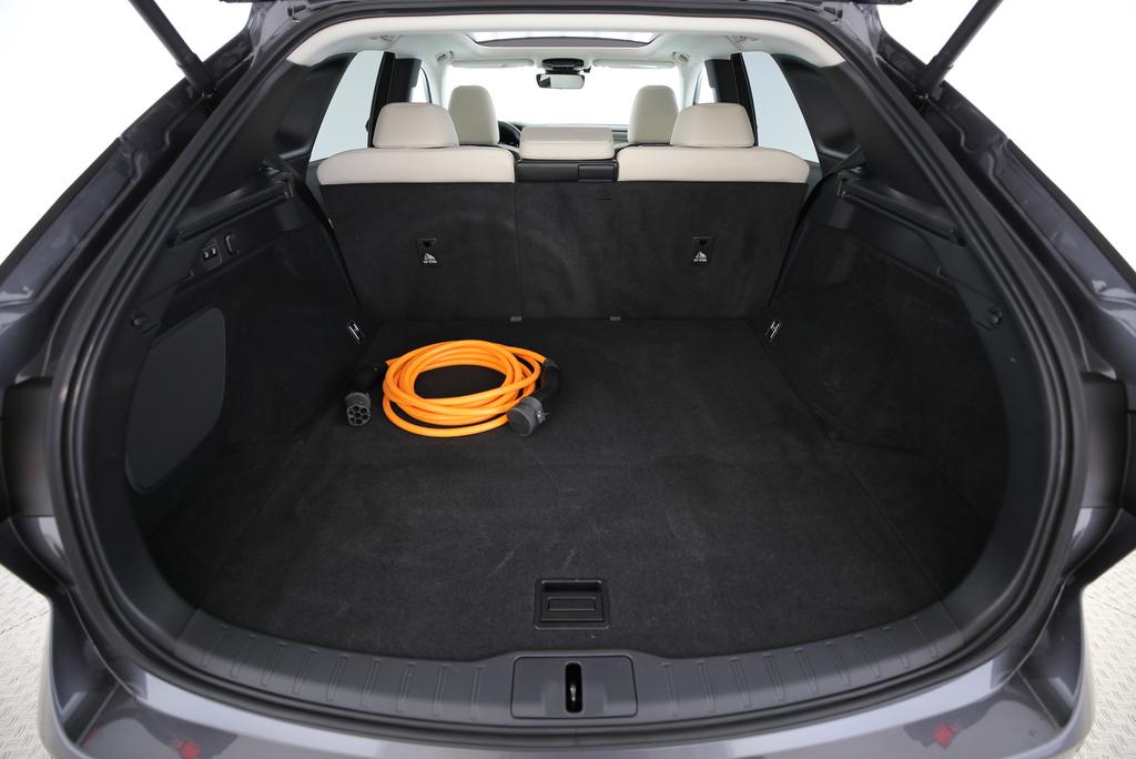 LEXUS RX 450h+ F-Line-image-12