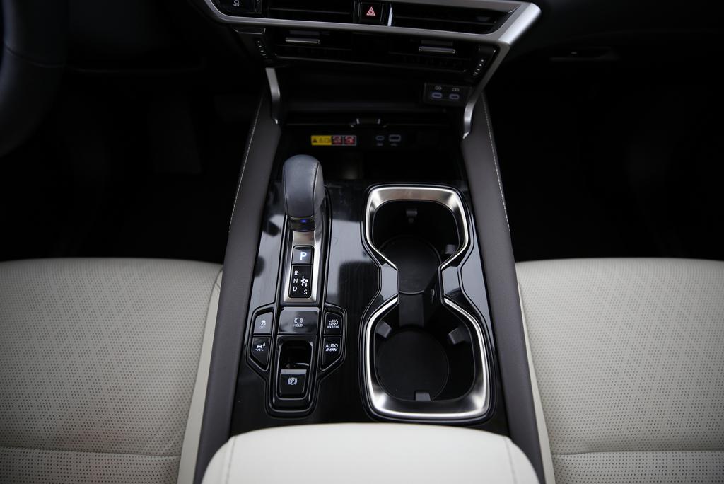 LEXUS RX 450h+ F-Line-image-7