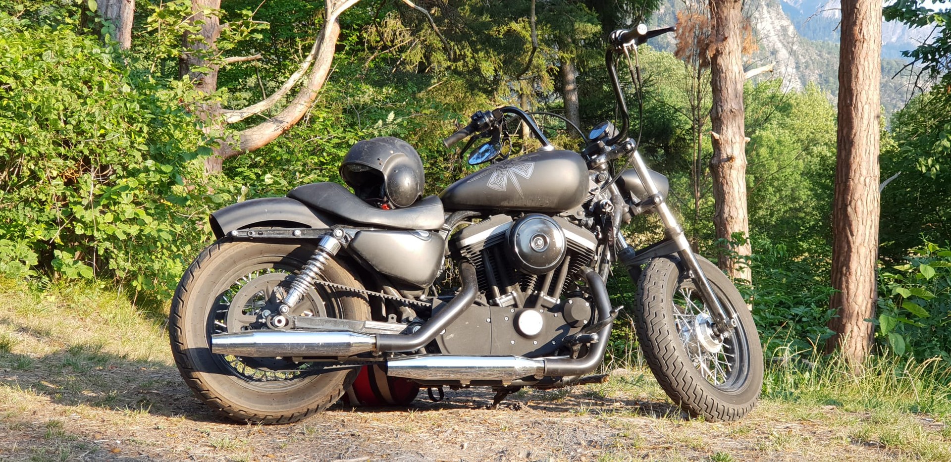 HARLEY-DAVIDSON XL 883 Sportster Injection-image-10