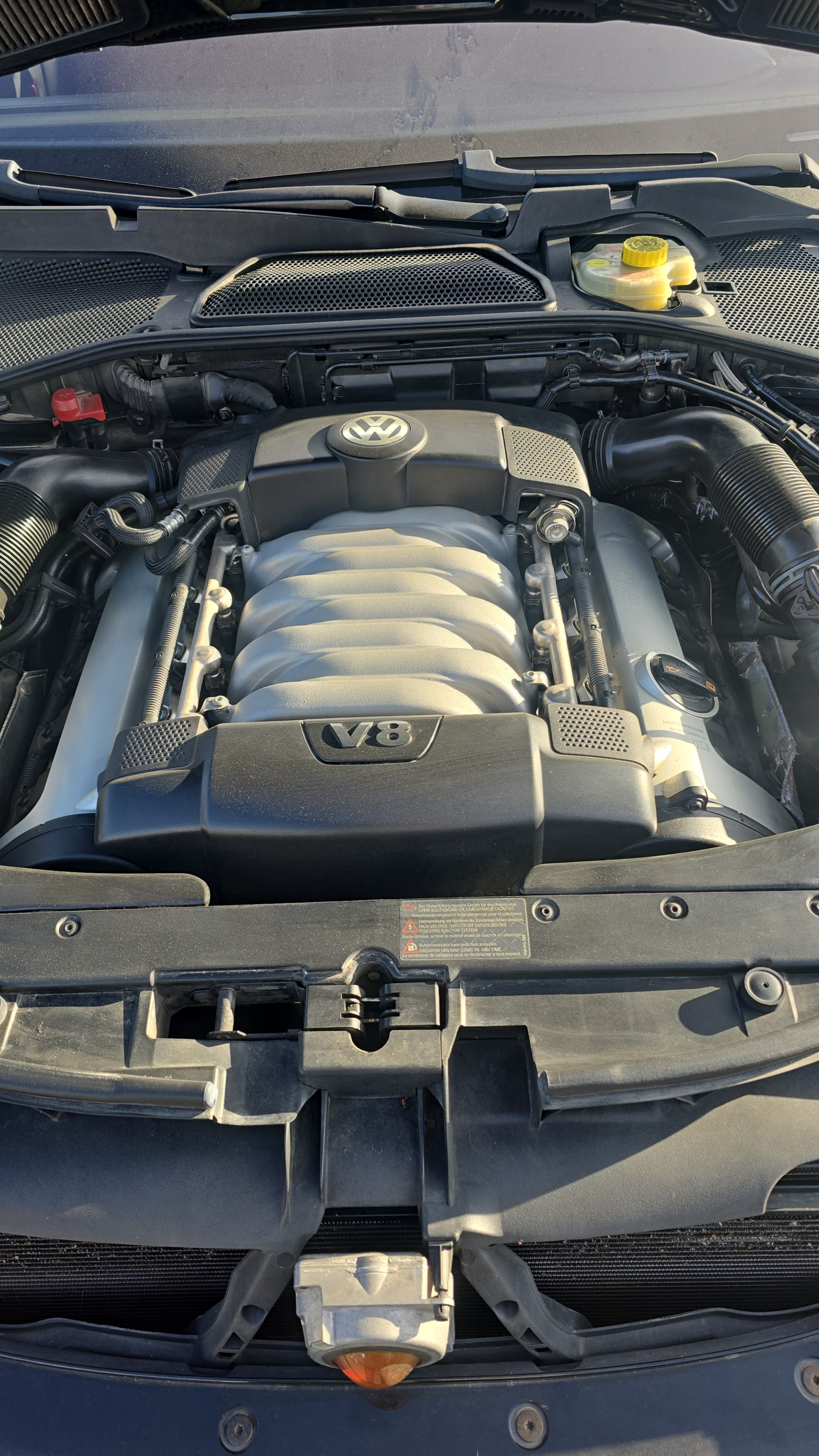 VW INDIVIDUAL 4200 V8-image-12
