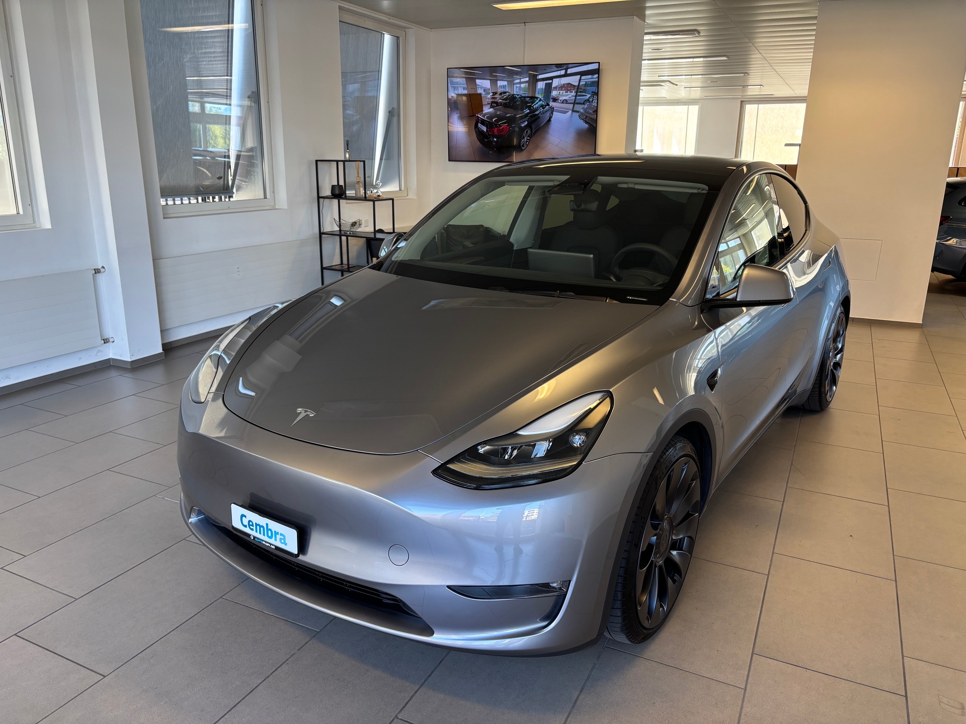 TESLA Model Y Performance
