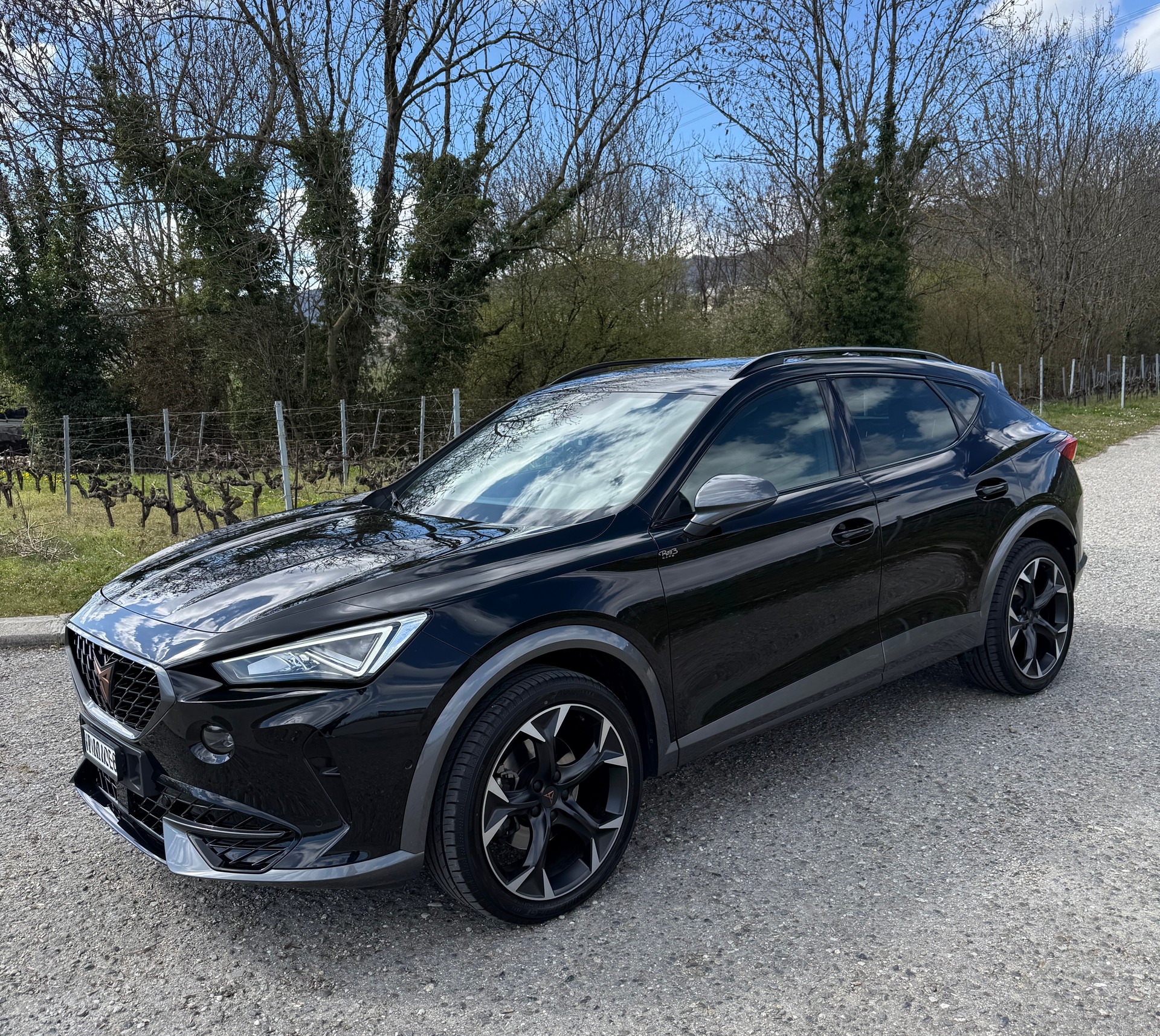 CUPRA Formentor 1.5 TSI DSG-image-0
