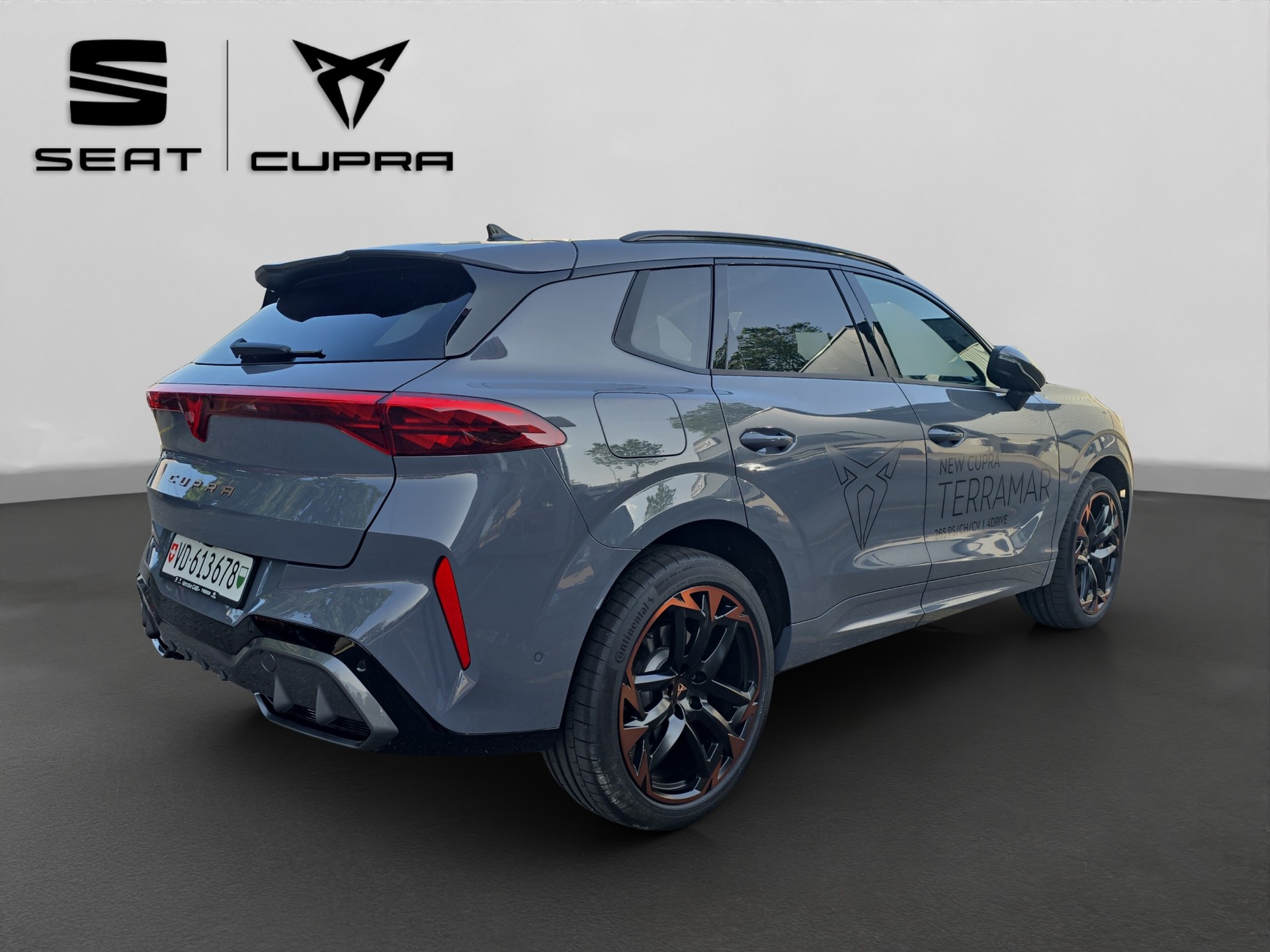 CUPRA Terramar 2.0 TSI DSG 4Drive VZ-image-15