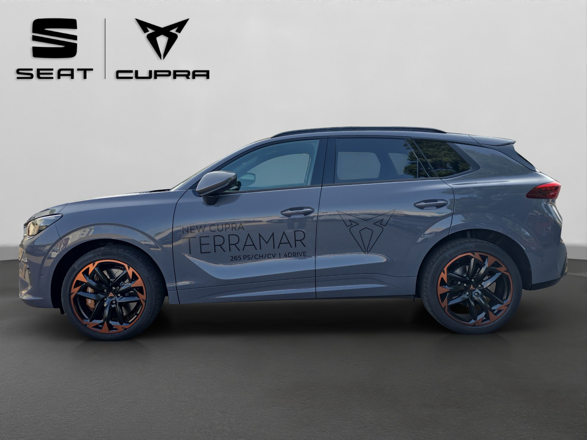 CUPRA Terramar 2.0 TSI DSG 4Drive VZ-image-8