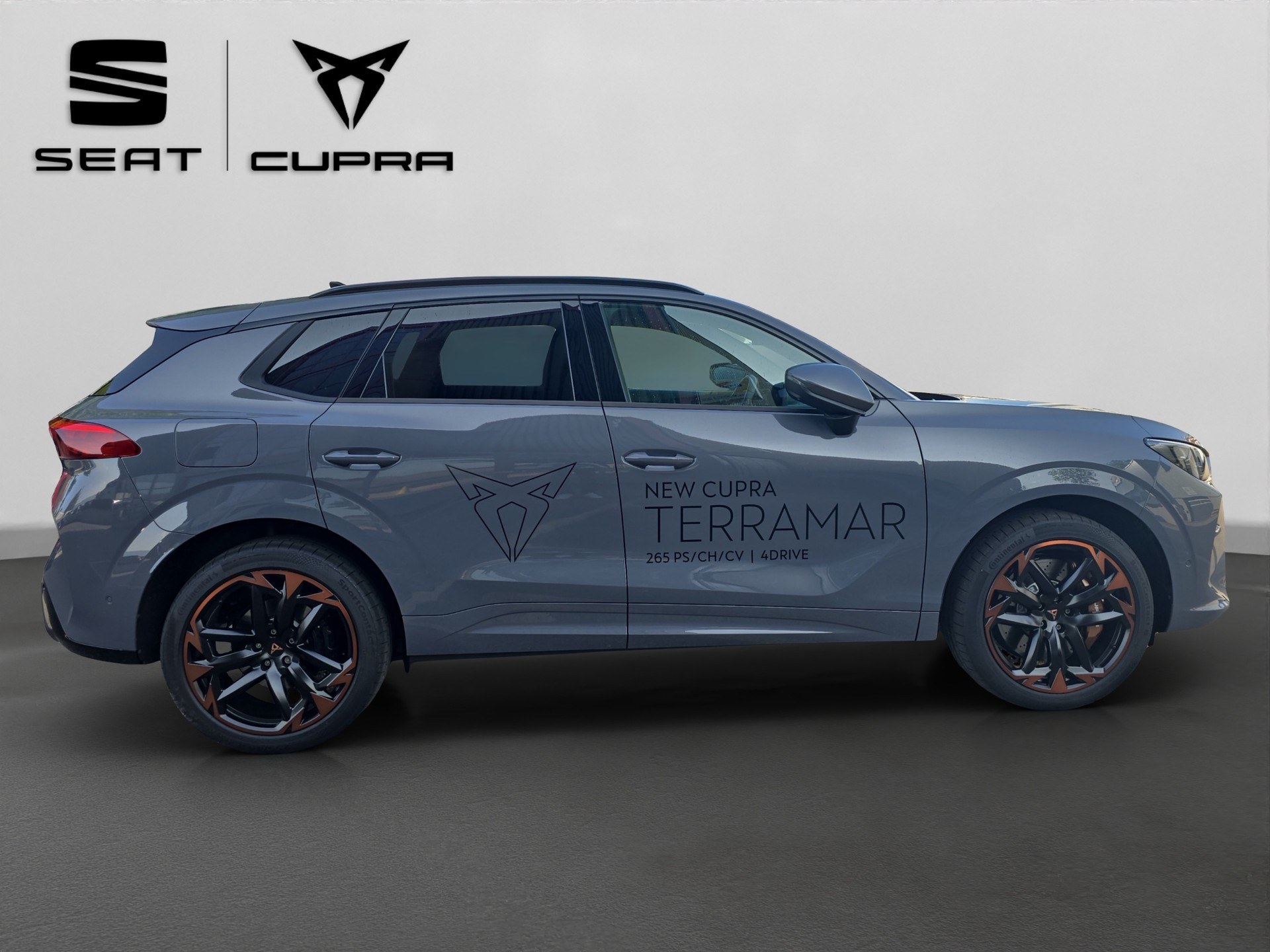 CUPRA Terramar 2.0 TSI DSG 4Drive VZ-image-16