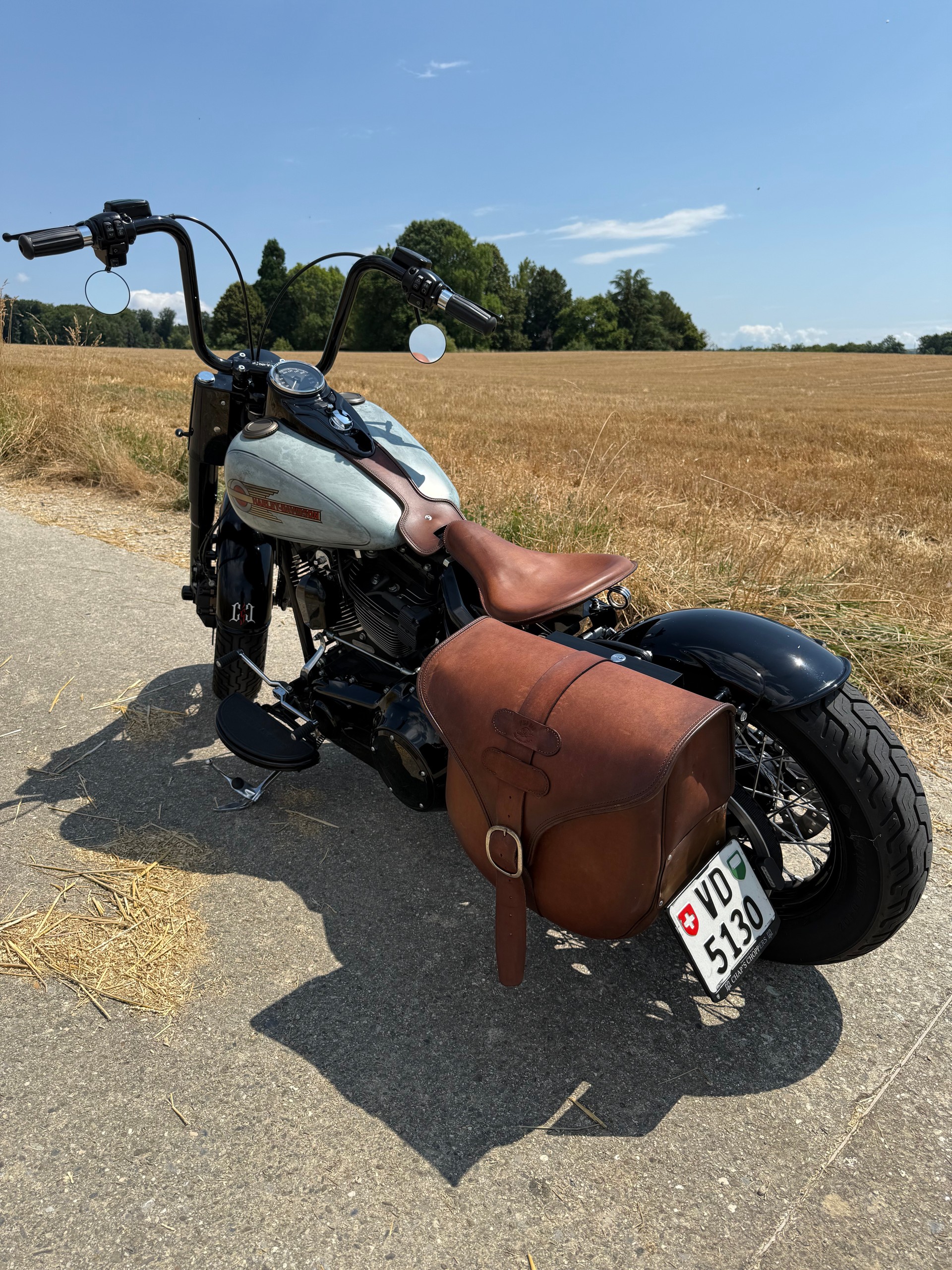 HARLEY-DAVIDSON FLSS Softail Slim S110 ABS-image-4