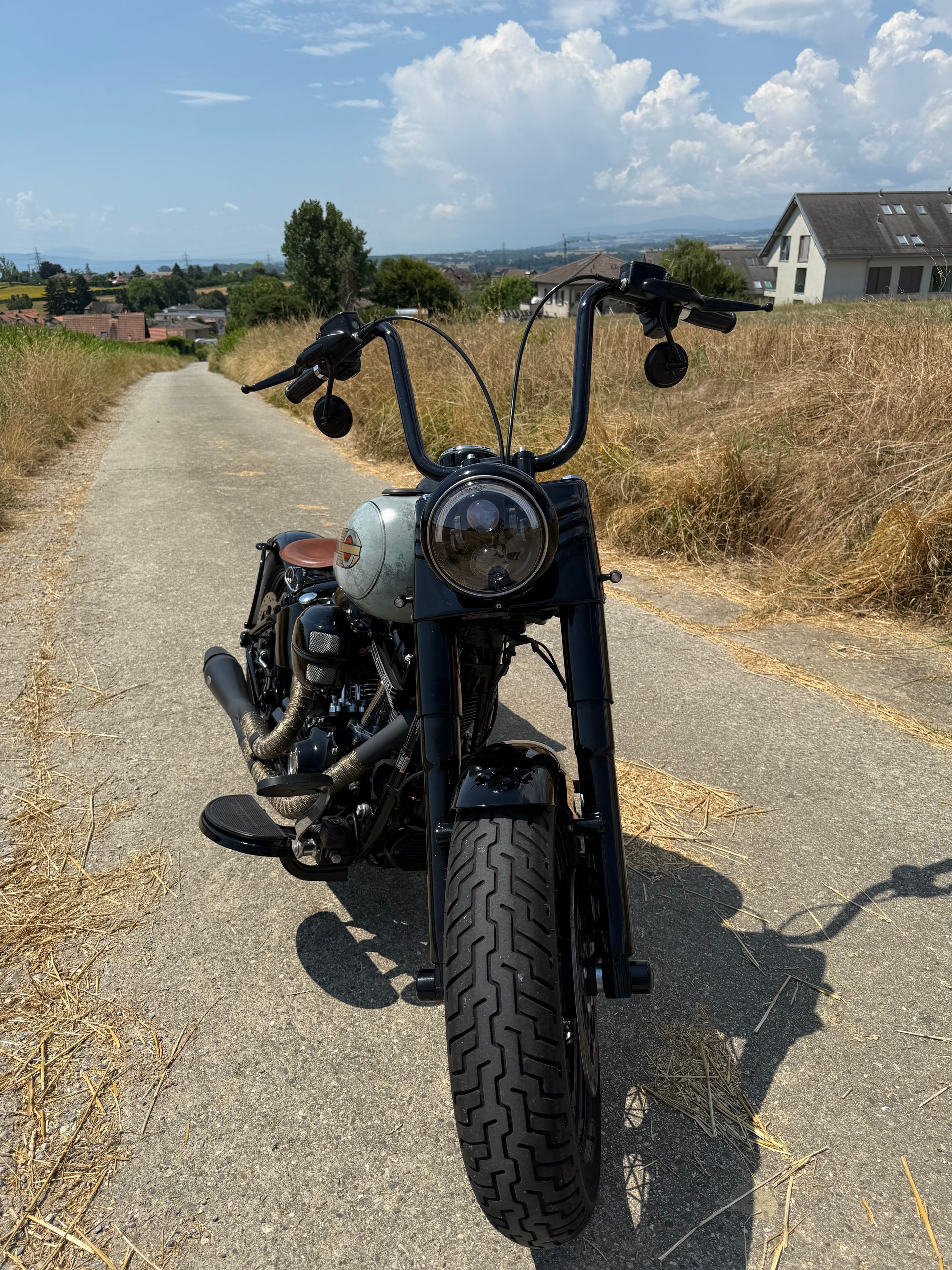 HARLEY-DAVIDSON FLSS Softail Slim S110 ABS-image-6