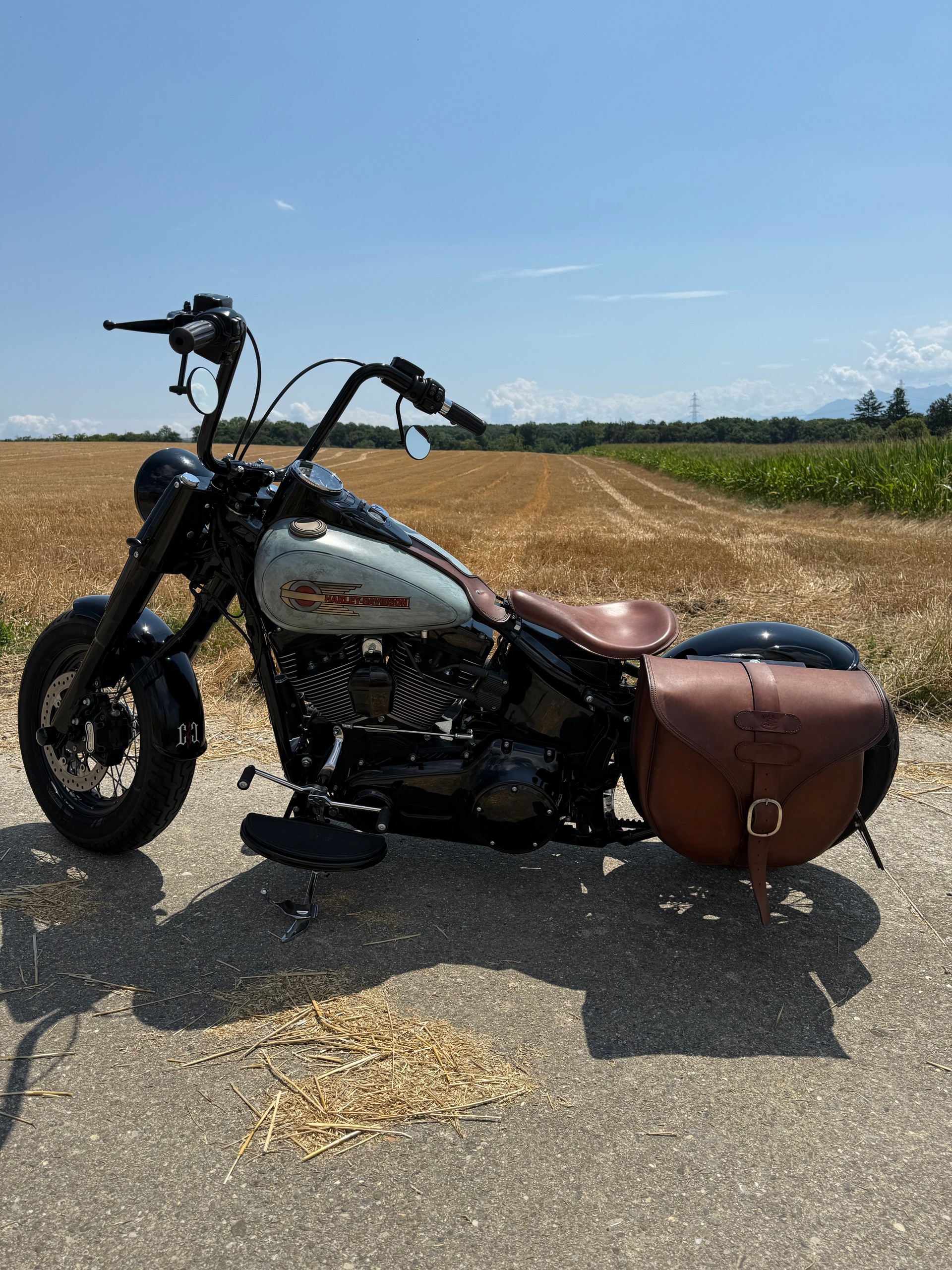 HARLEY-DAVIDSON FLSS Softail Slim S110 ABS-image-5
