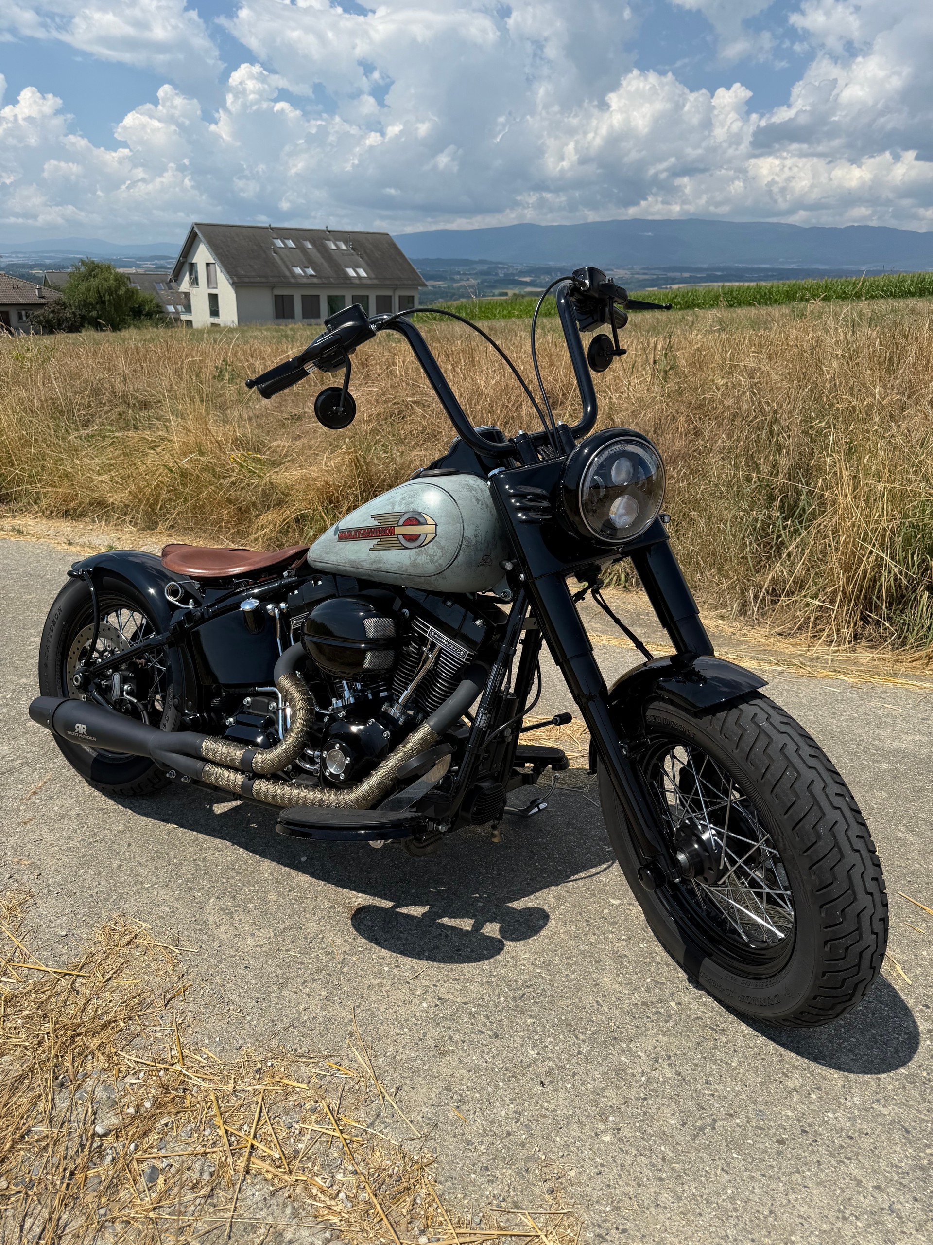 HARLEY-DAVIDSON FLSS Softail Slim S110 ABS-image-0