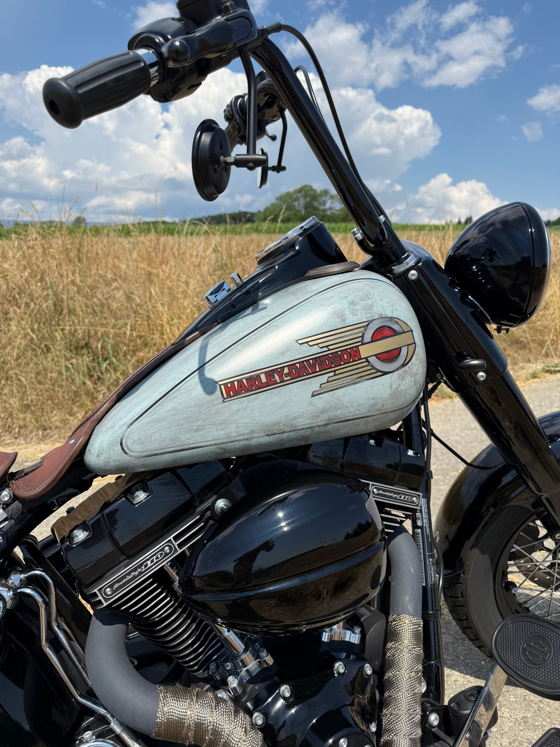 HARLEY-DAVIDSON FLSS Softail Slim S110 ABS-image-3