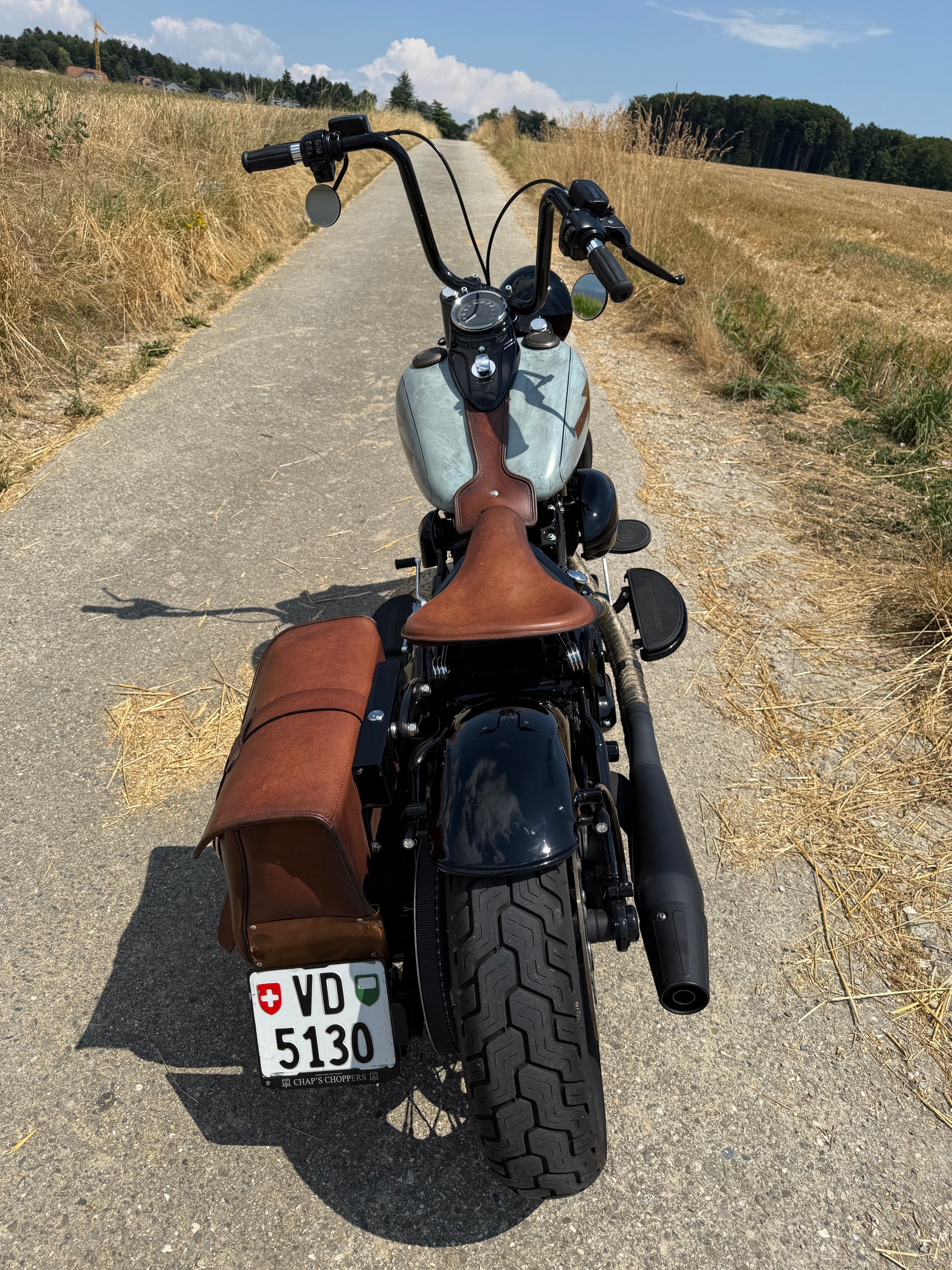 HARLEY-DAVIDSON FLSS Softail Slim S110 ABS-image-2