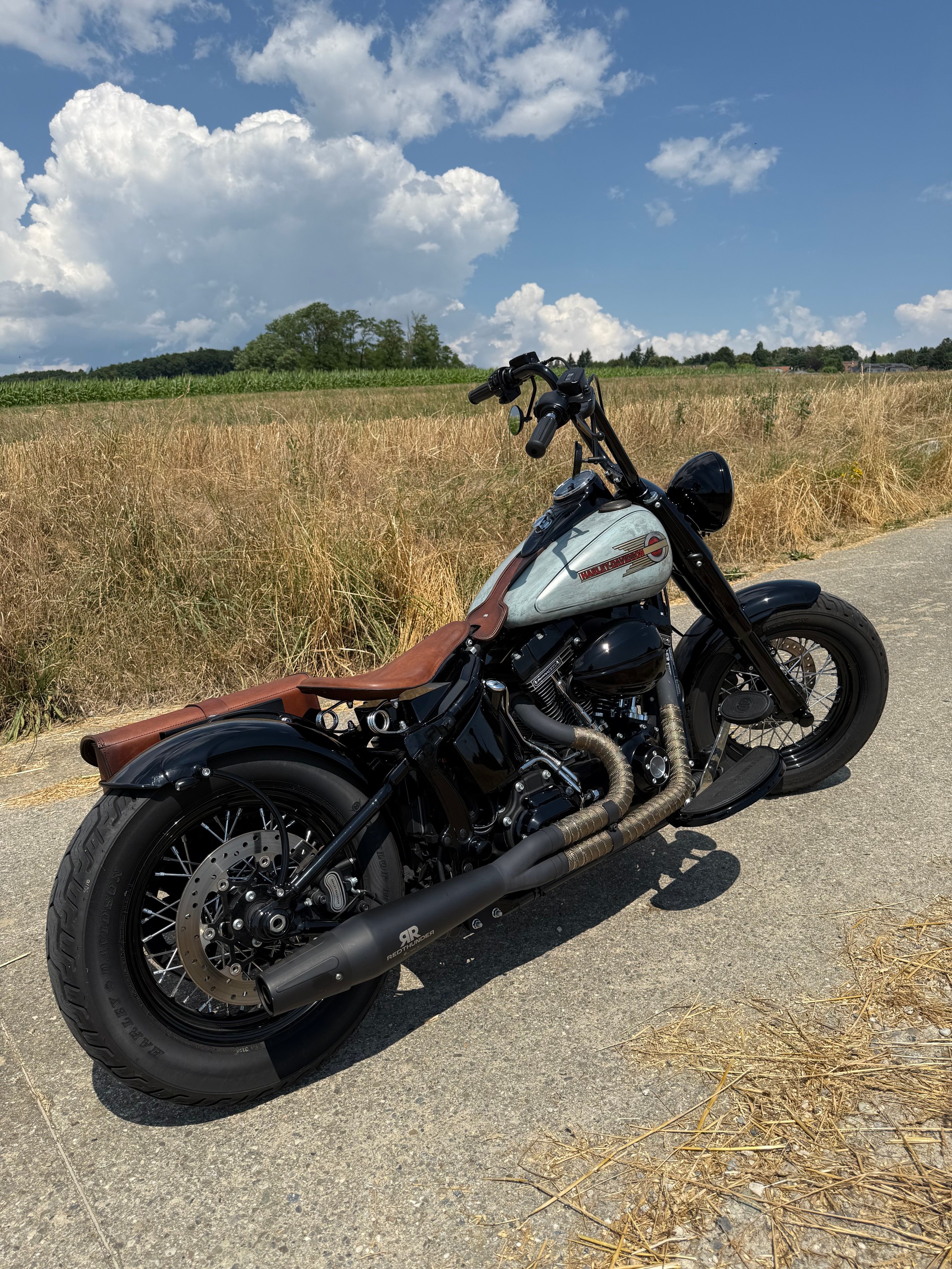 HARLEY-DAVIDSON FLSS Softail Slim S110 ABS-image-1