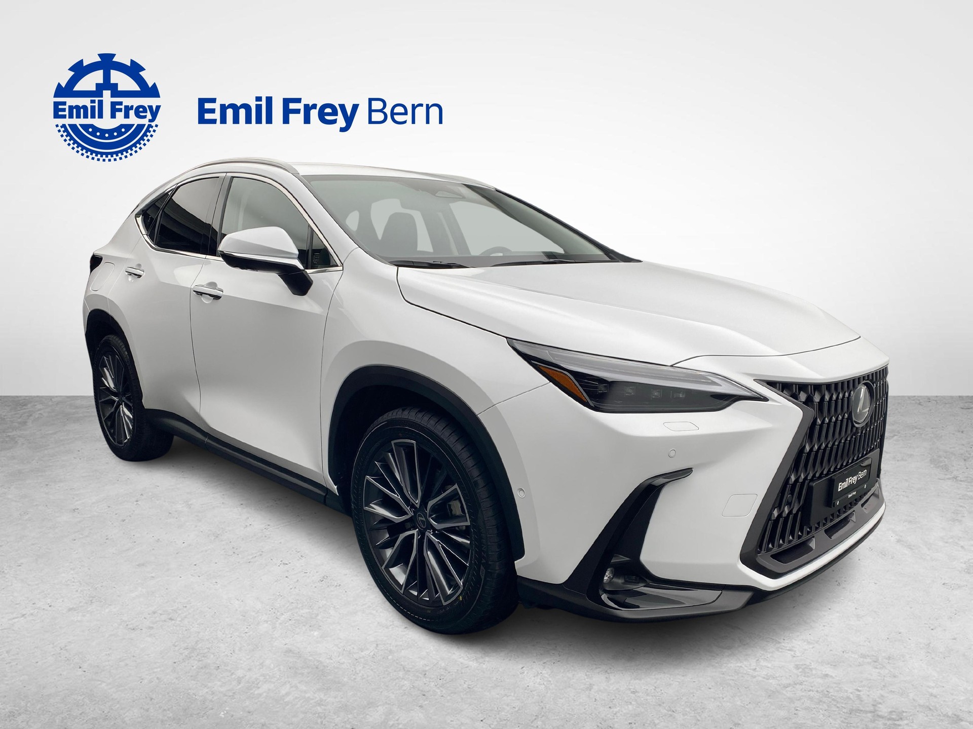 LEXUS NX 450h+ Excellence-image-4