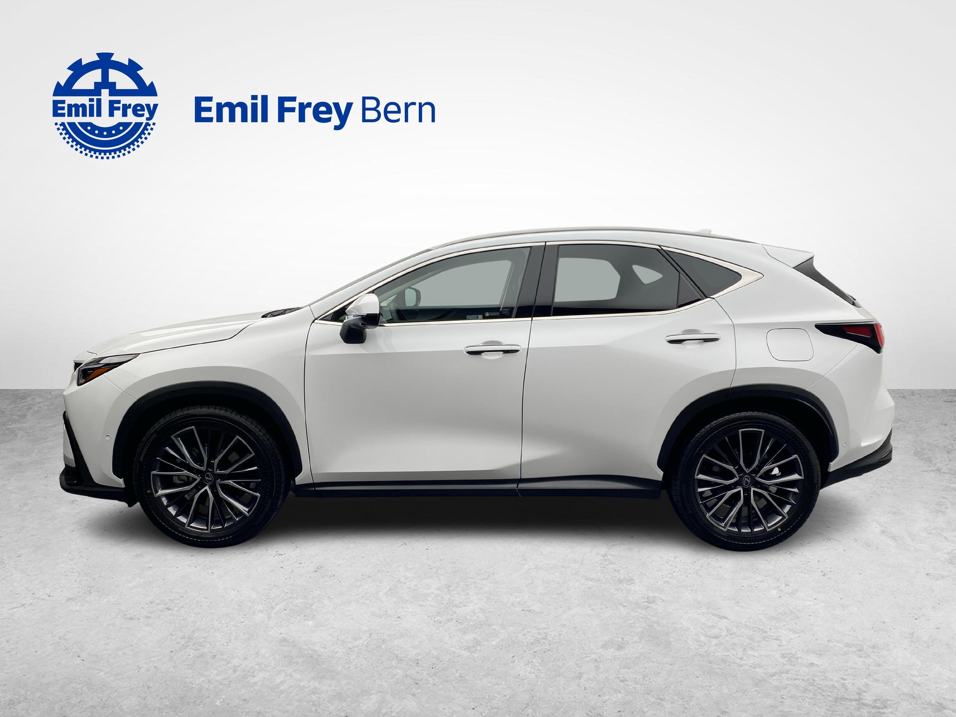 LEXUS NX 450h+ Excellence-showroom-element-1