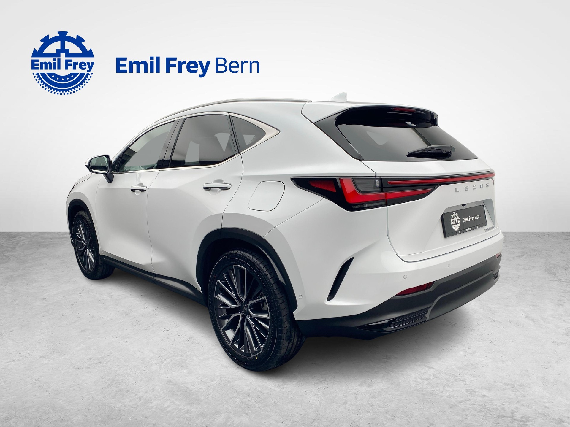 LEXUS NX 450h+ Excellence-image-8
