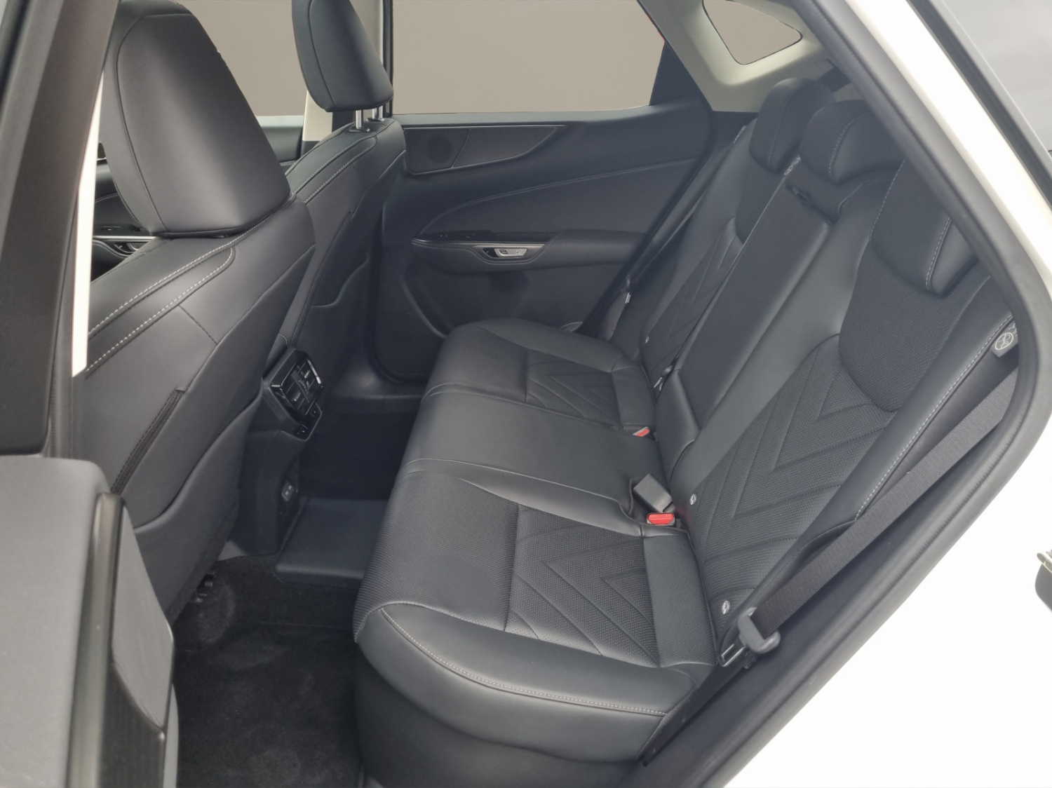 LEXUS NX 450h+ Excellence-image-10