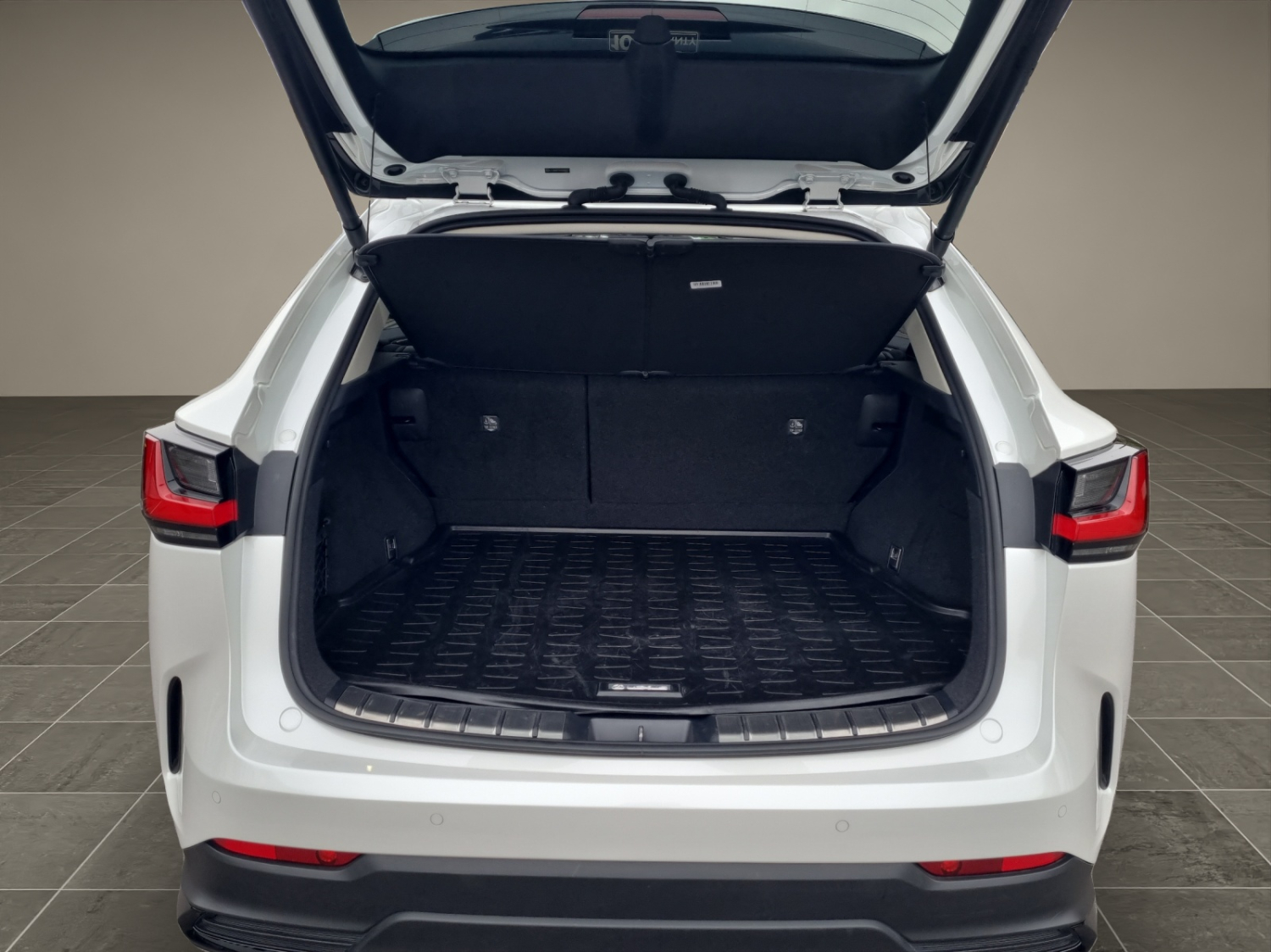 LEXUS NX 450h+ Excellence-image-14