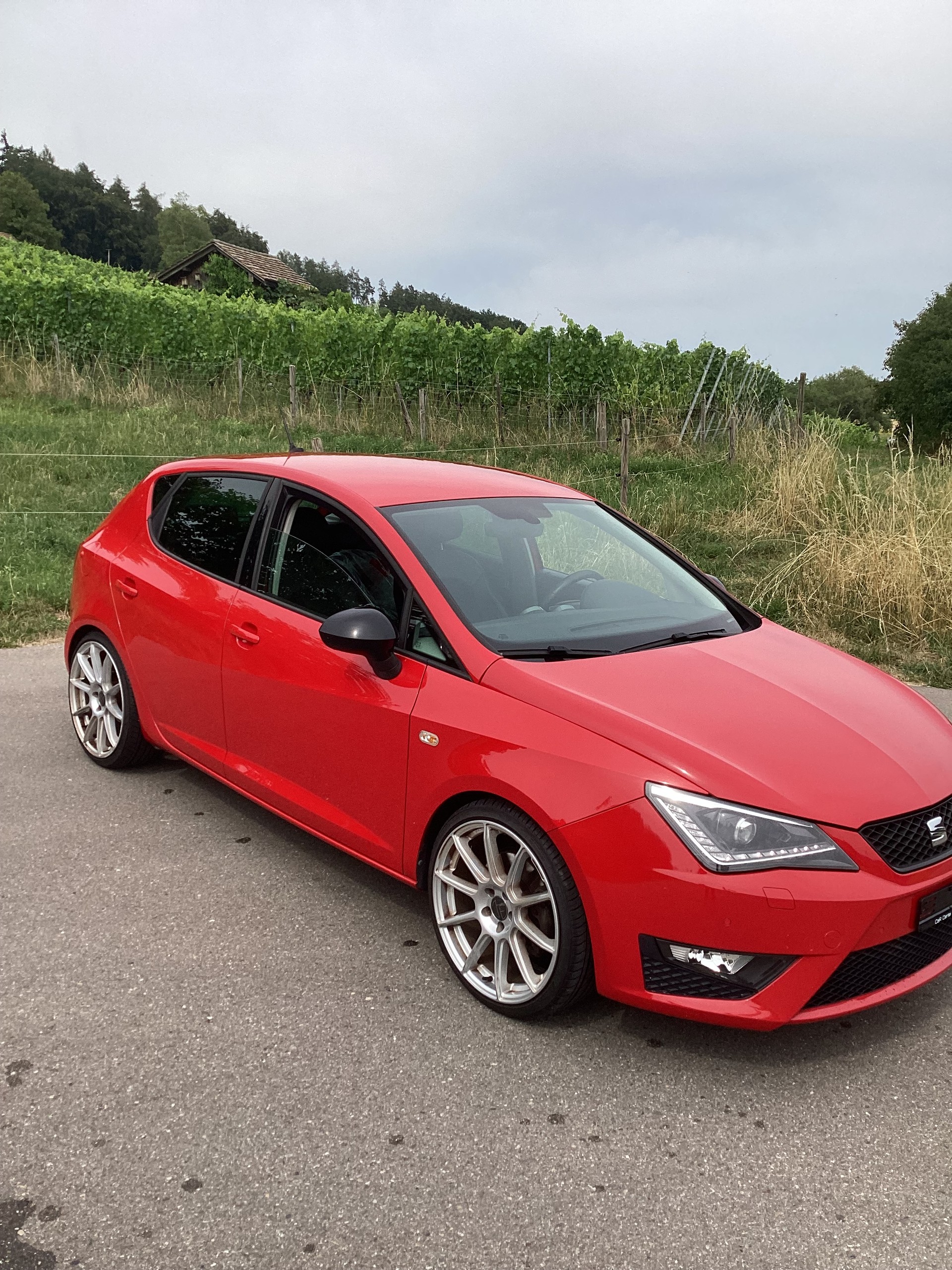 SEAT 1.0 TSI 110 FR Line DSG