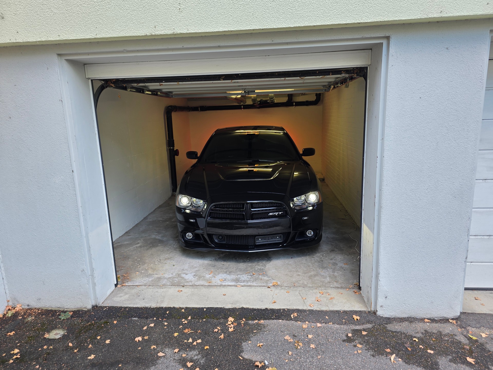 DODGE SRT-8-image-15