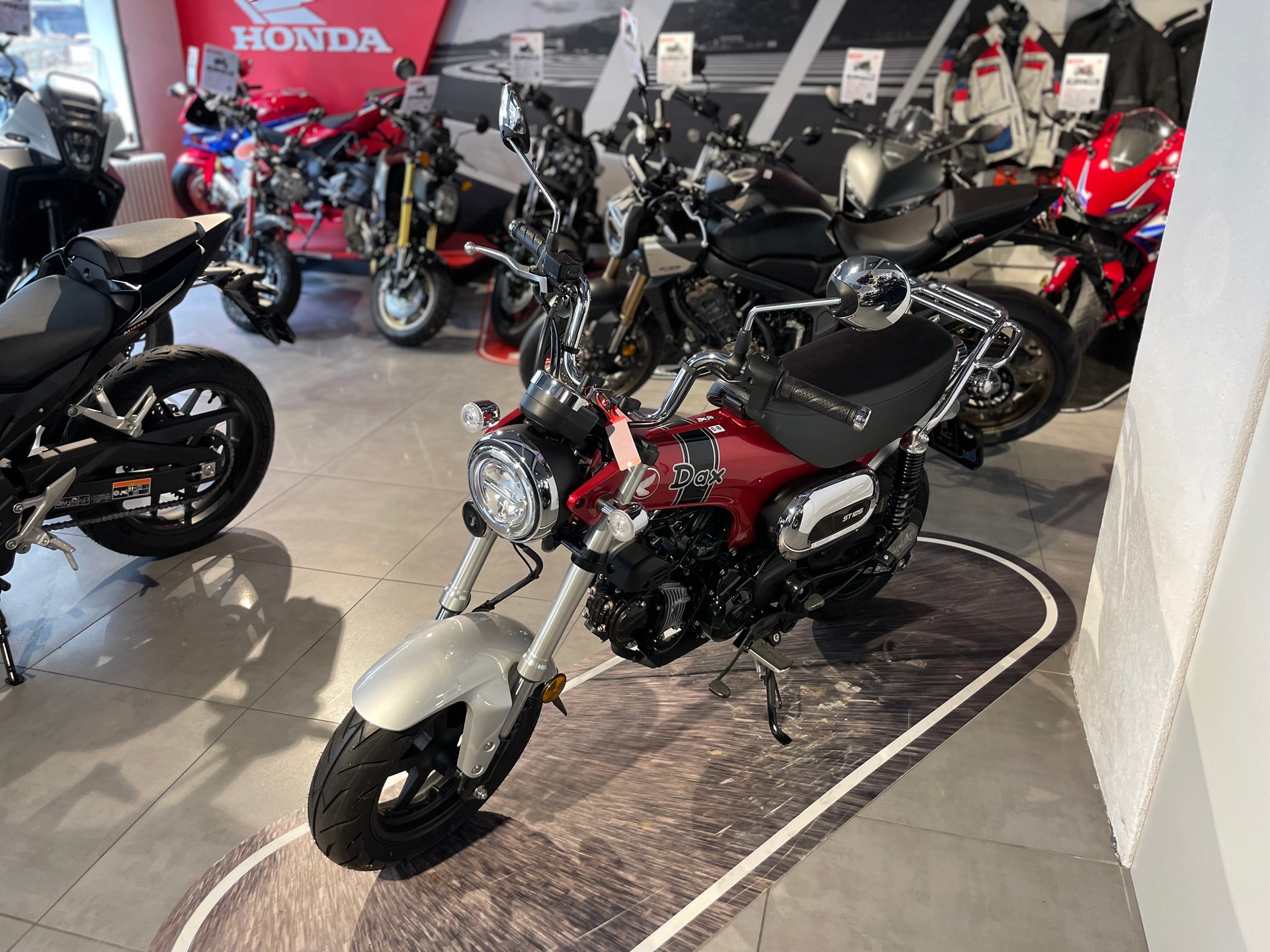 HONDA St 125 Dax-image-1