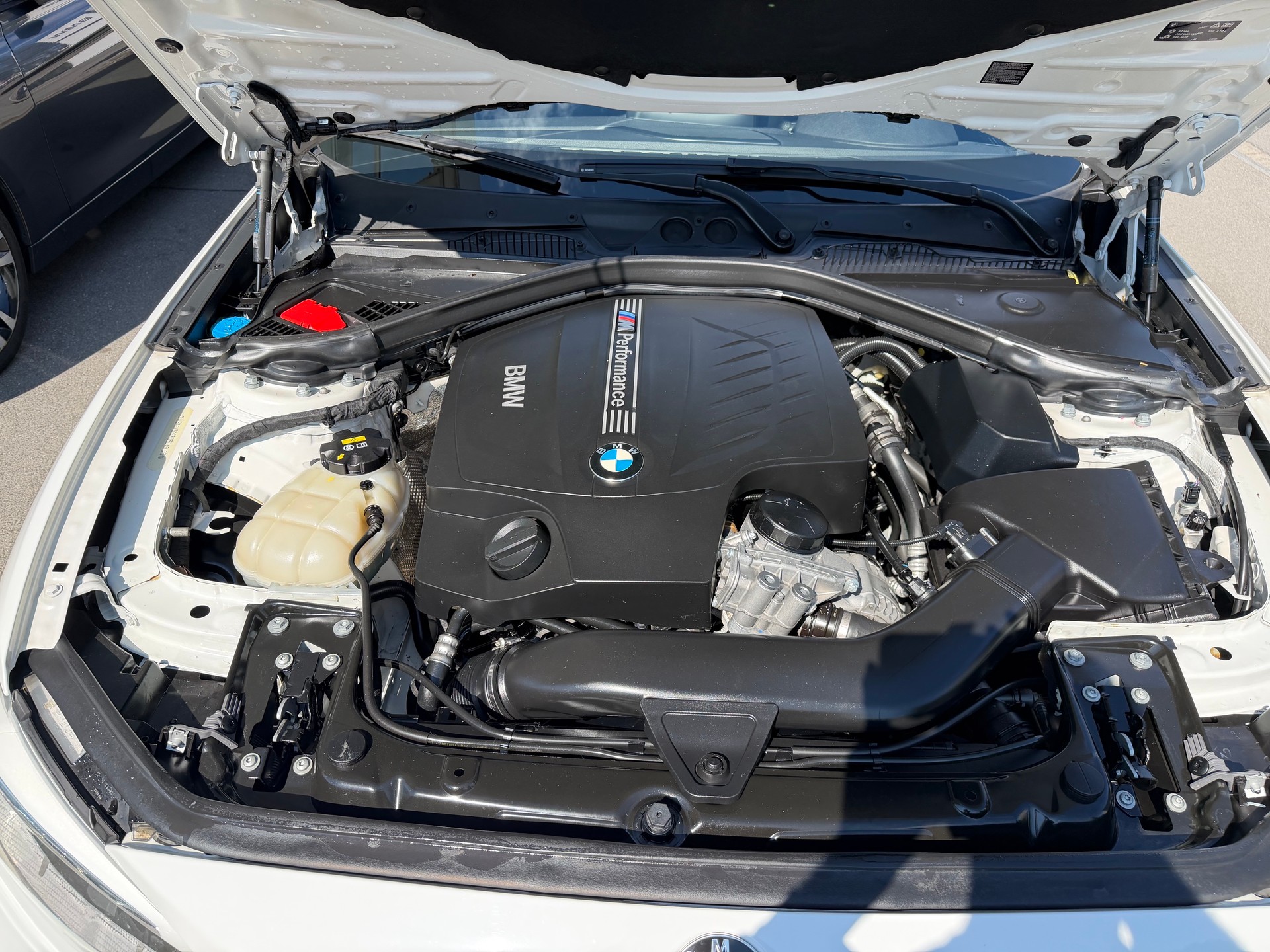 BMW M135i xDrive Steptronic-image-12