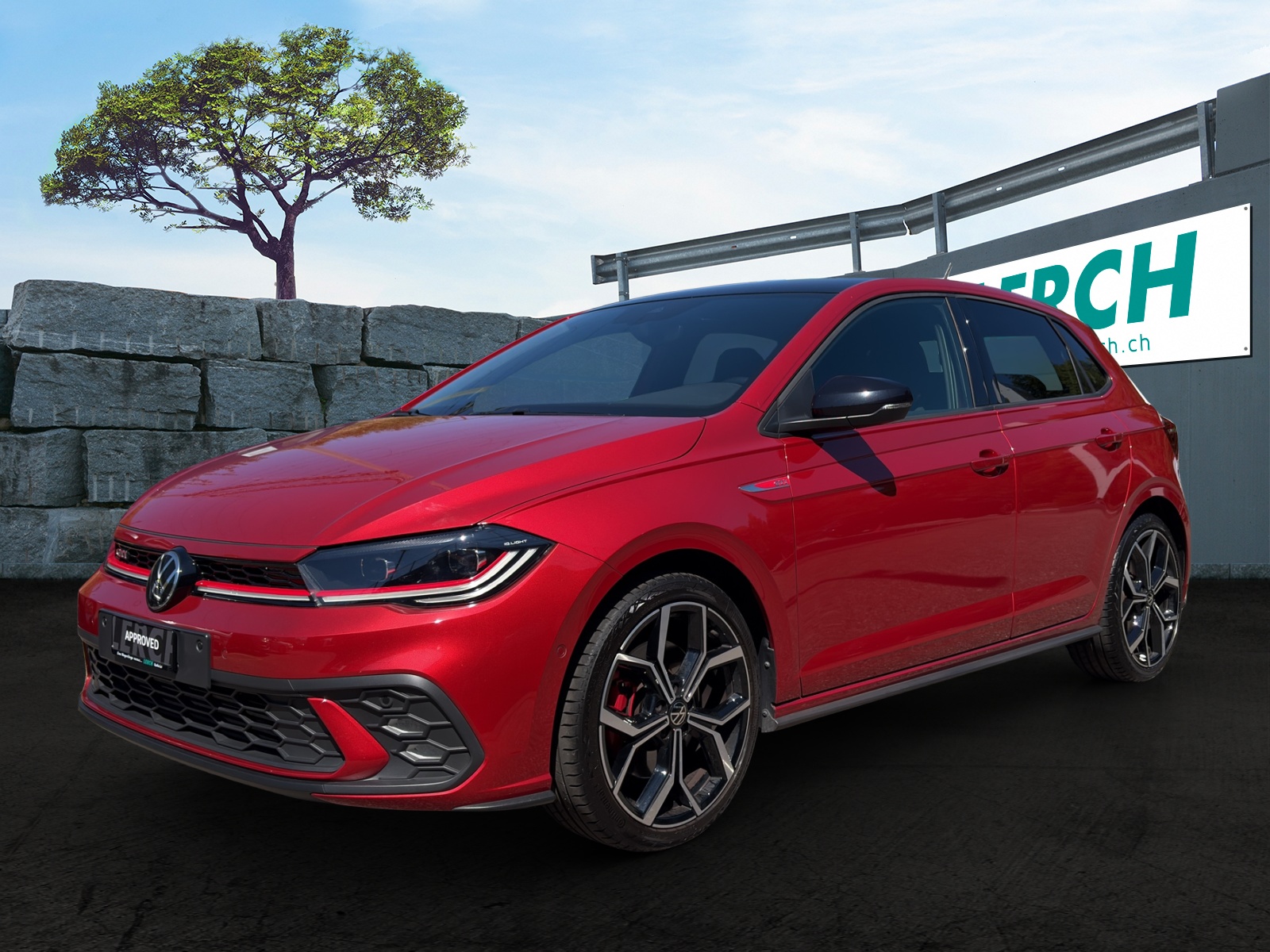 VW Polo 2.0 TSI GTI DSG